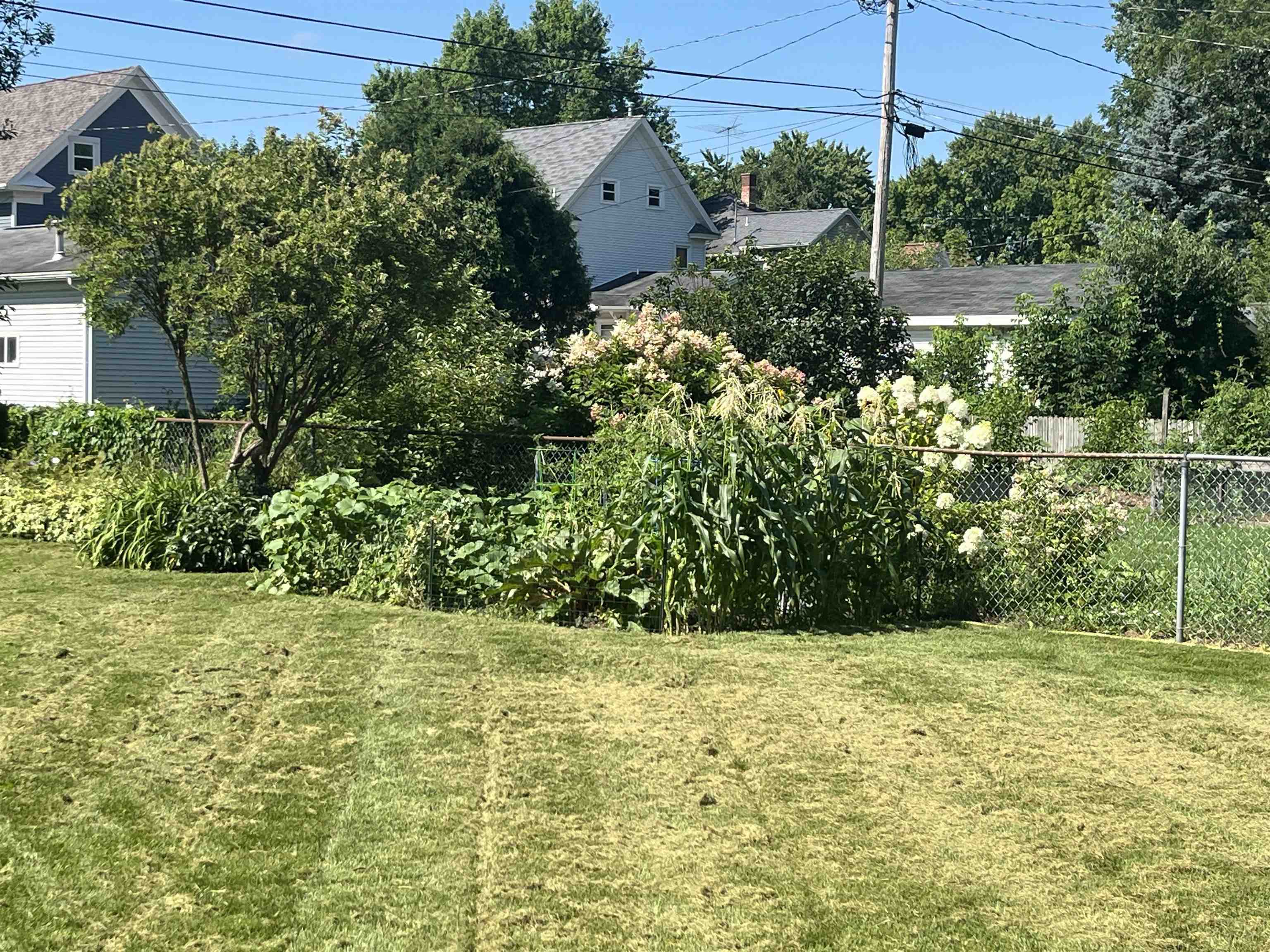 Property photo 61
