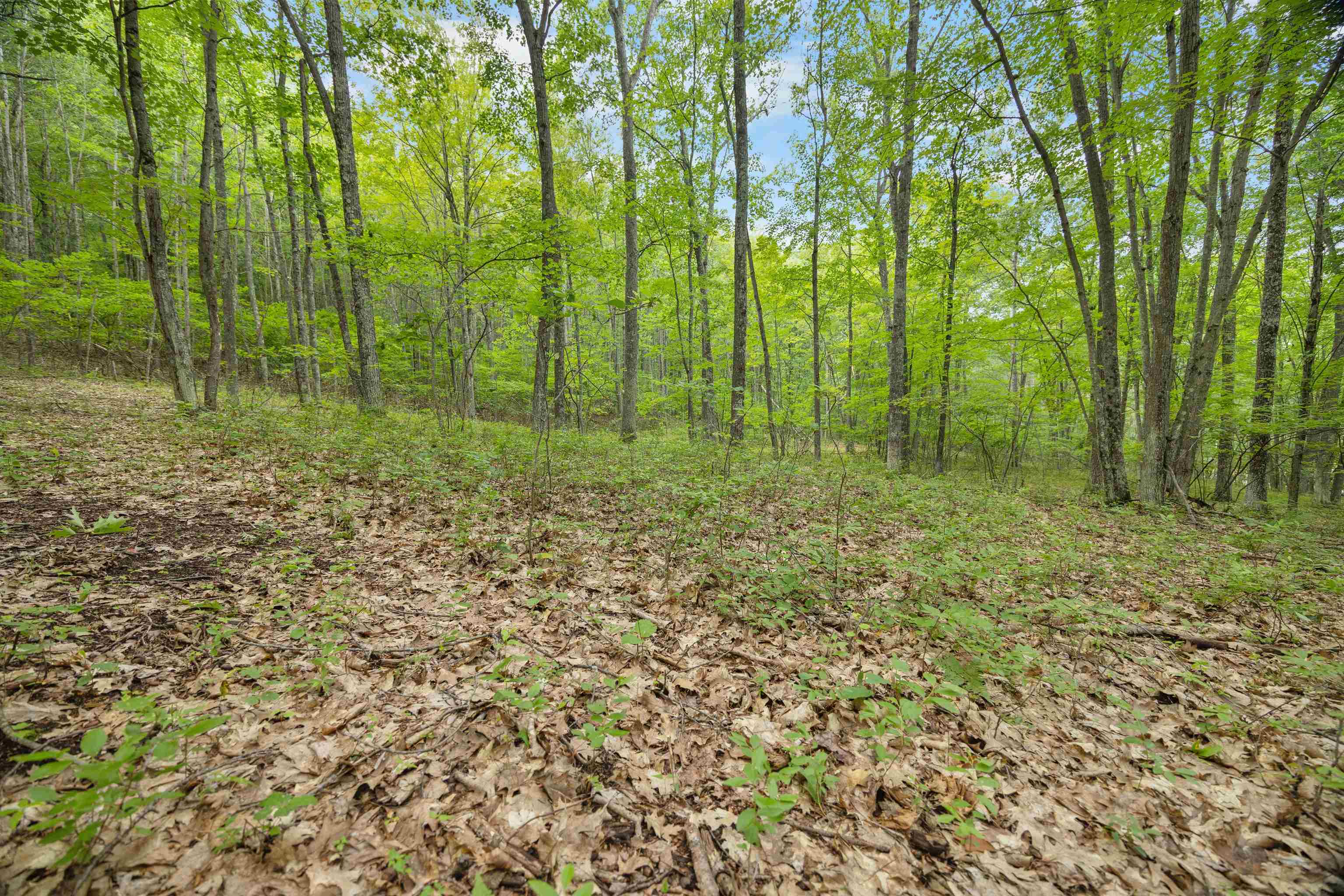 Property photo 38