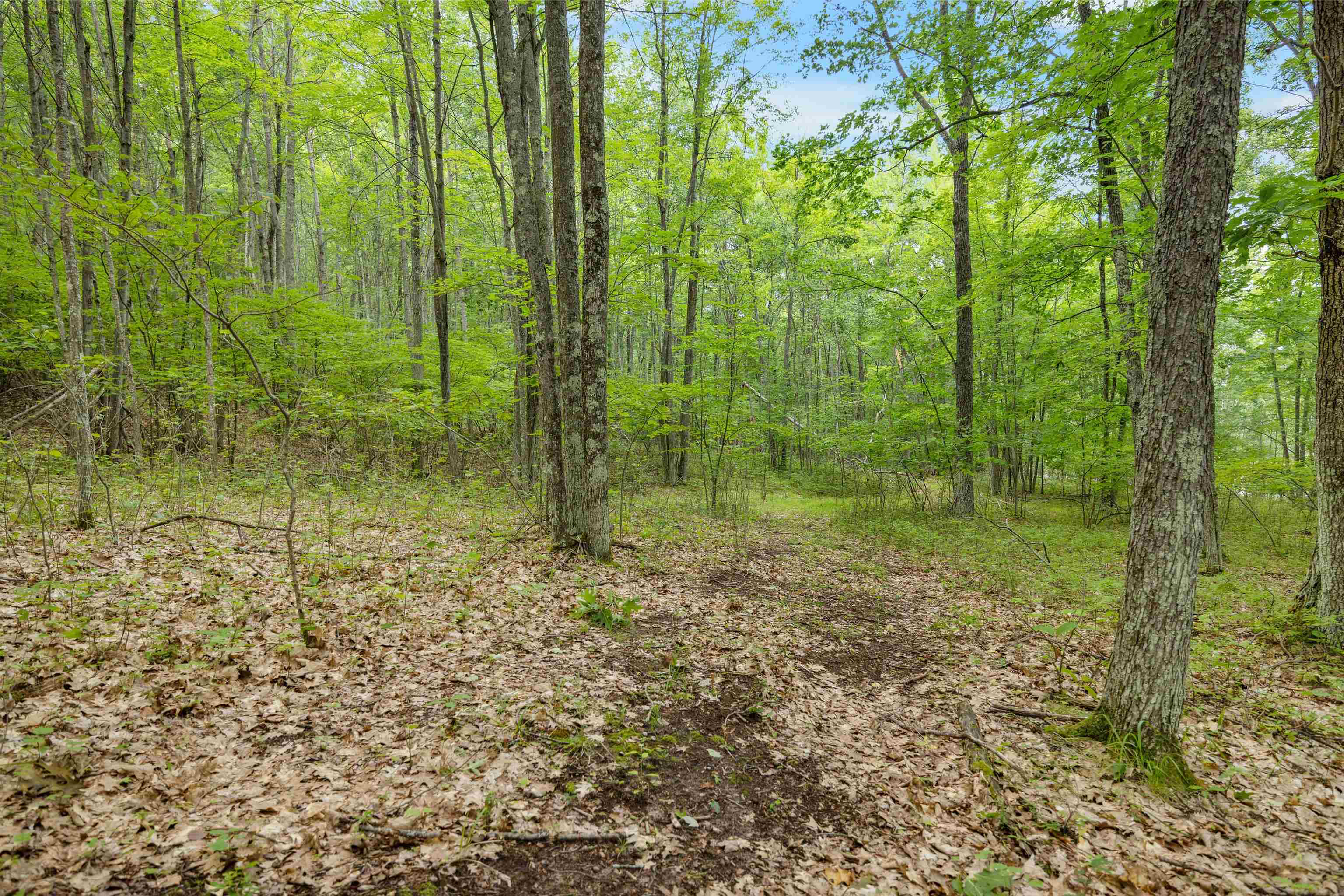 Property photo 39
