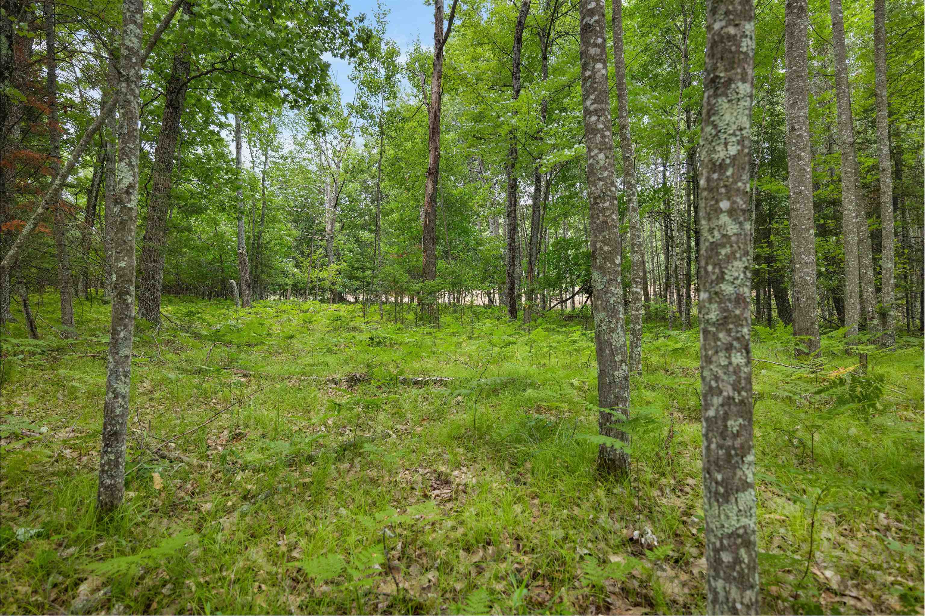 Property photo 42