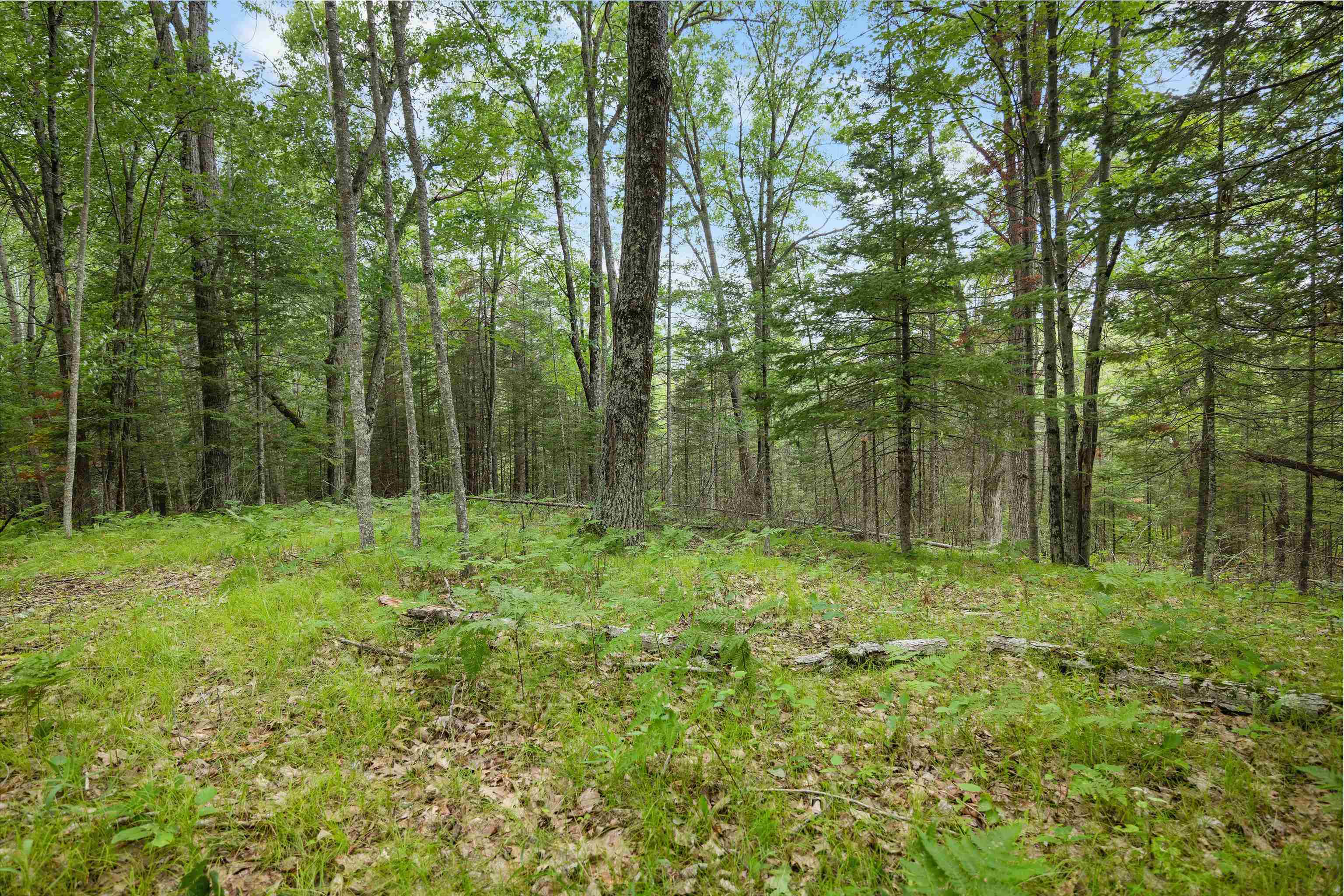 Property photo 43