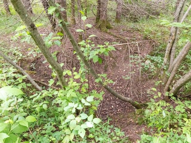 Property photo 12