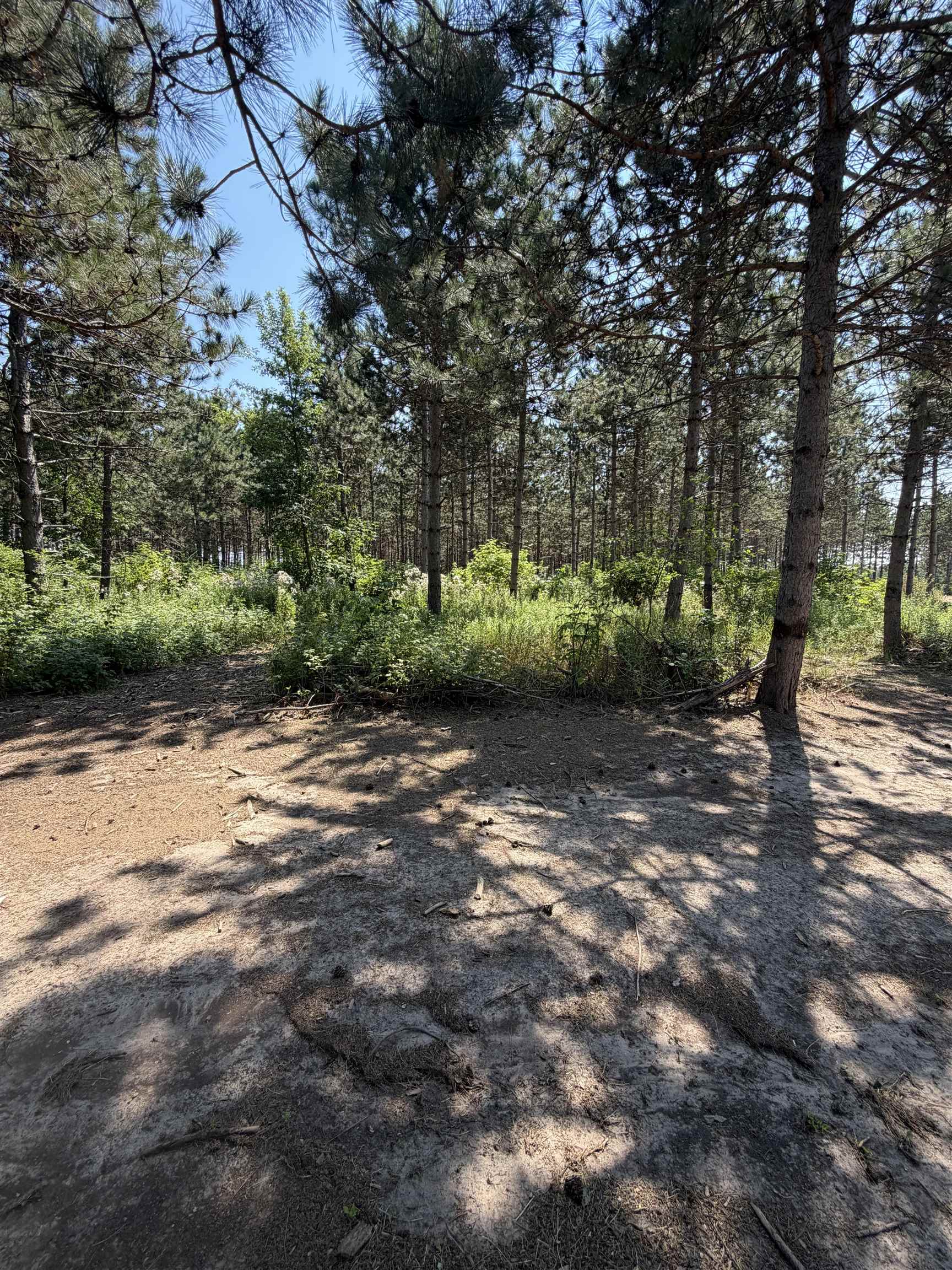 Property photo 19