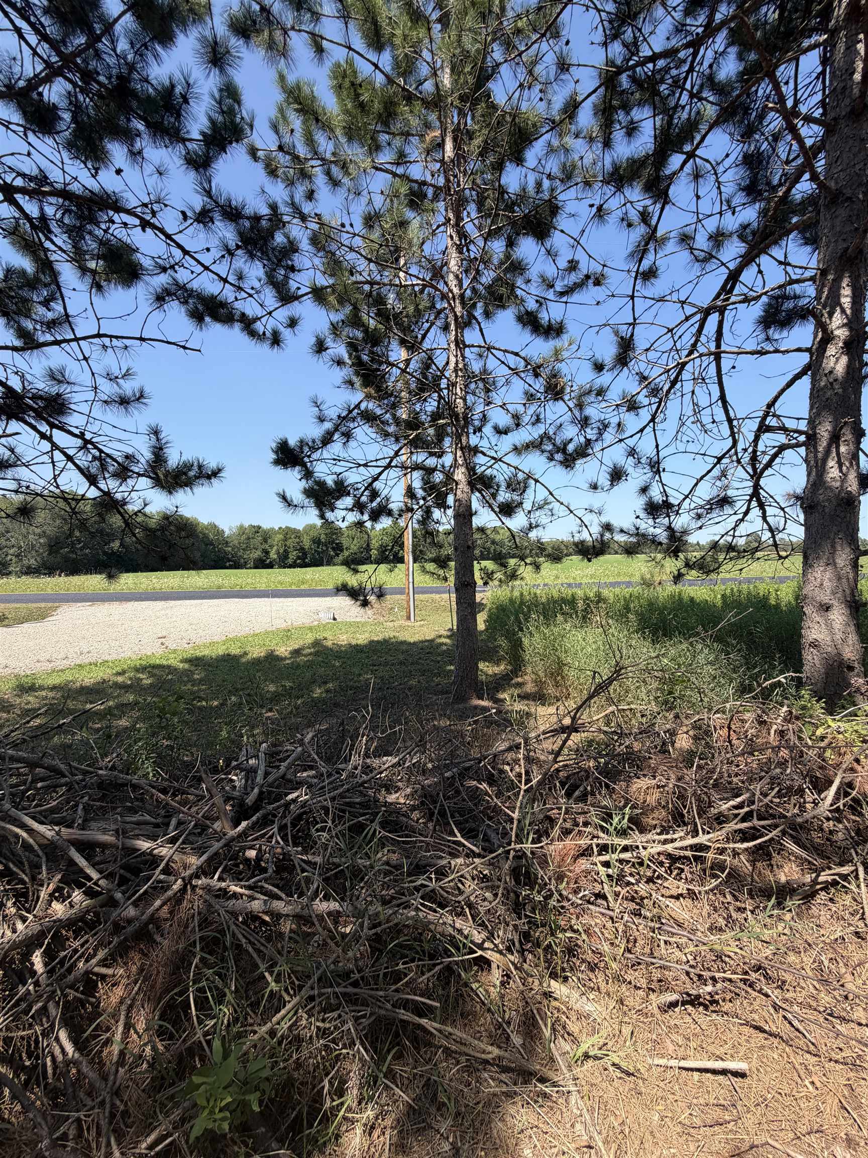 Property photo 21