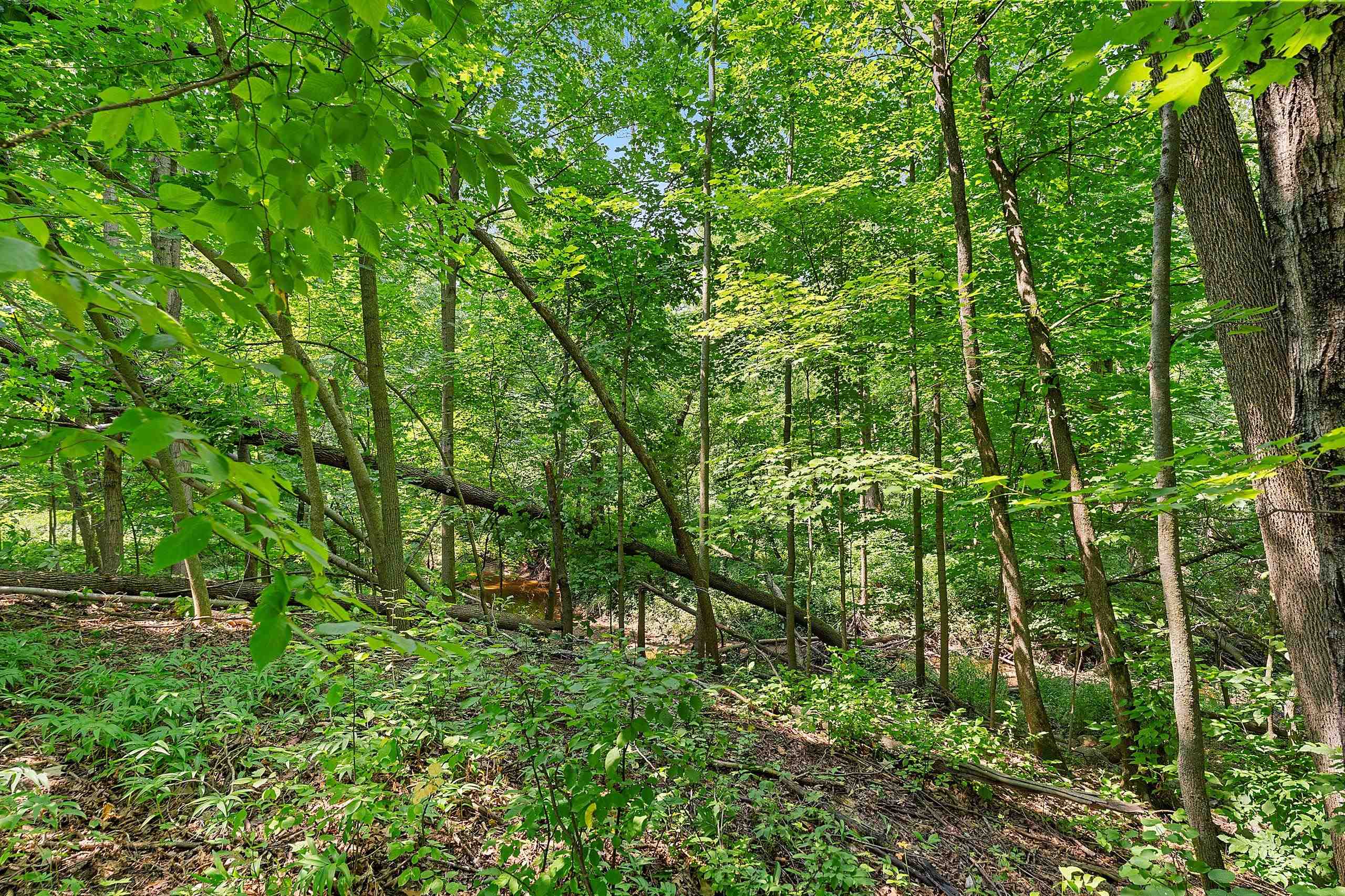 Property photo 83