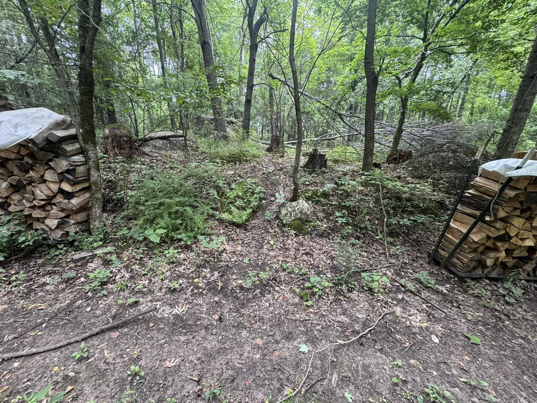 Property photo 13