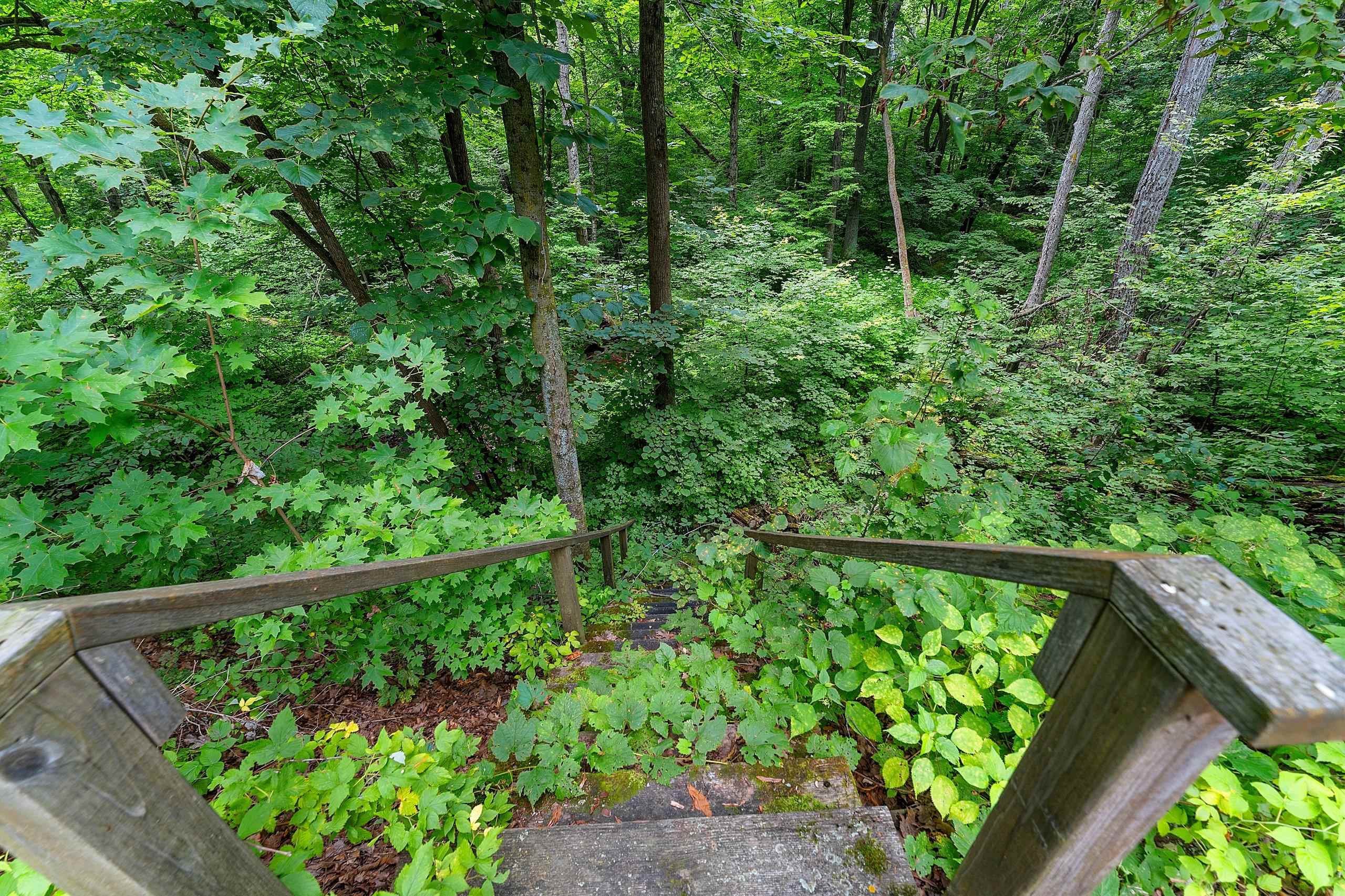 Property photo 72
