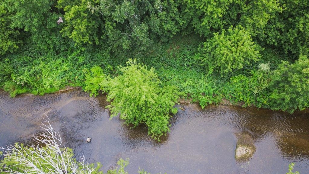 Property photo 82