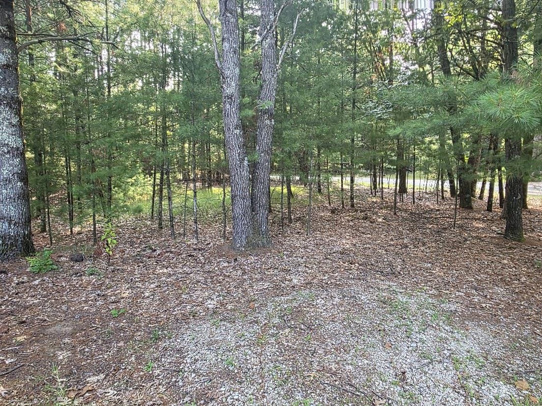 Property photo 37