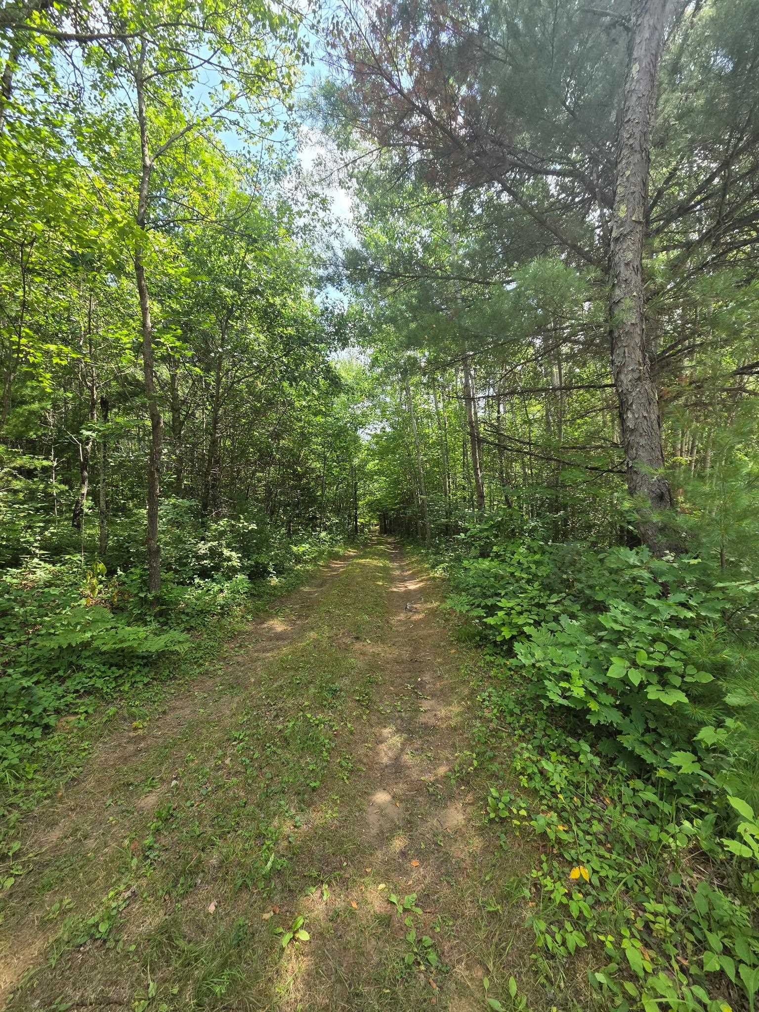 Property photo 18