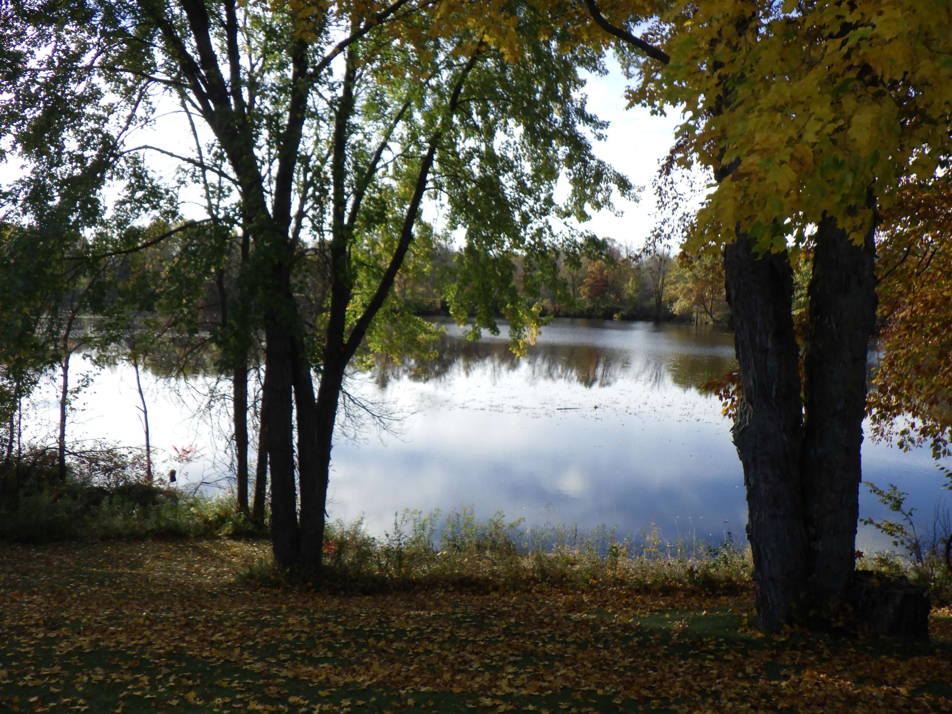 Property photo 31
