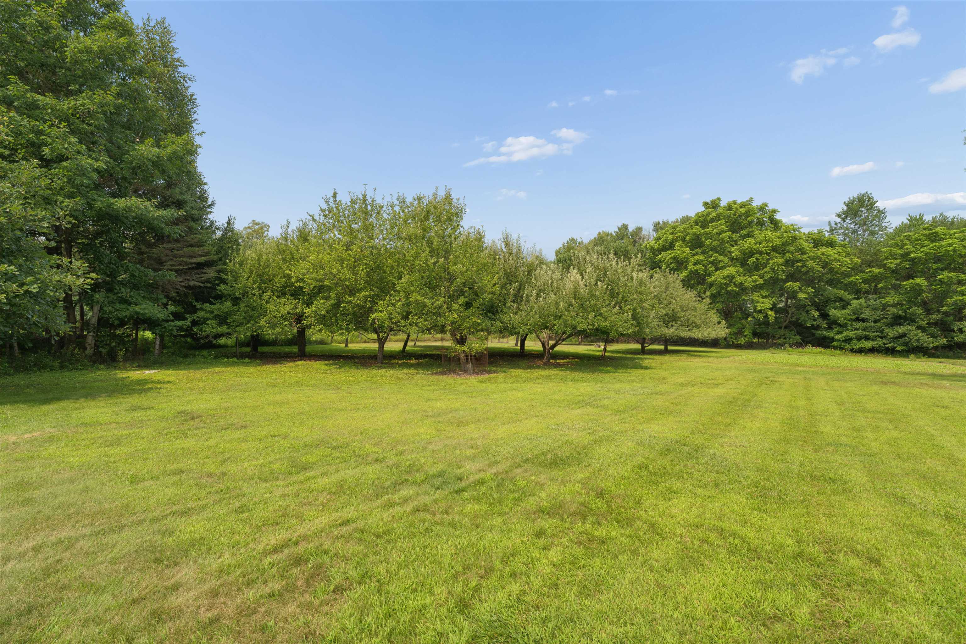 Property photo 43