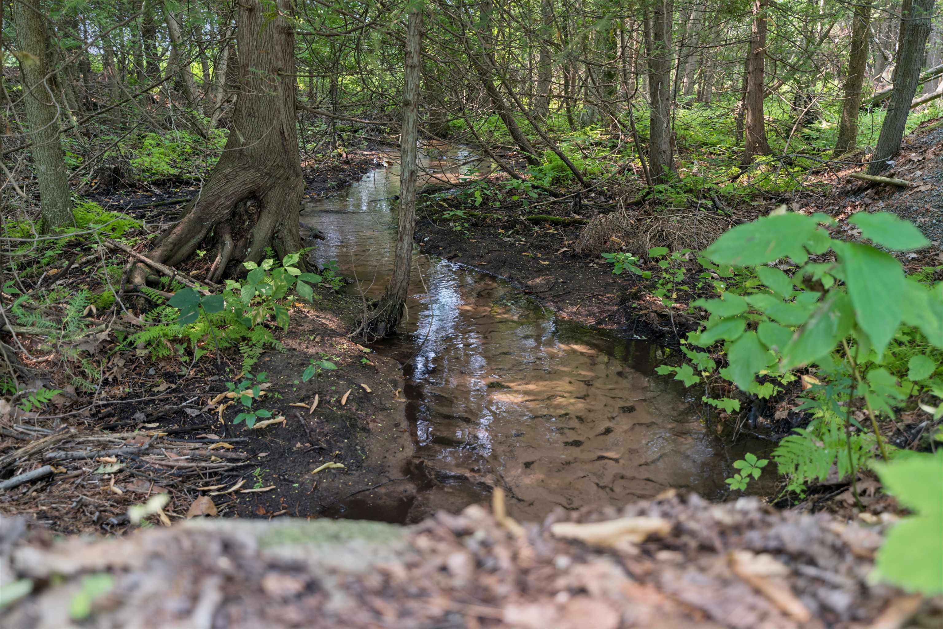 Property photo 47