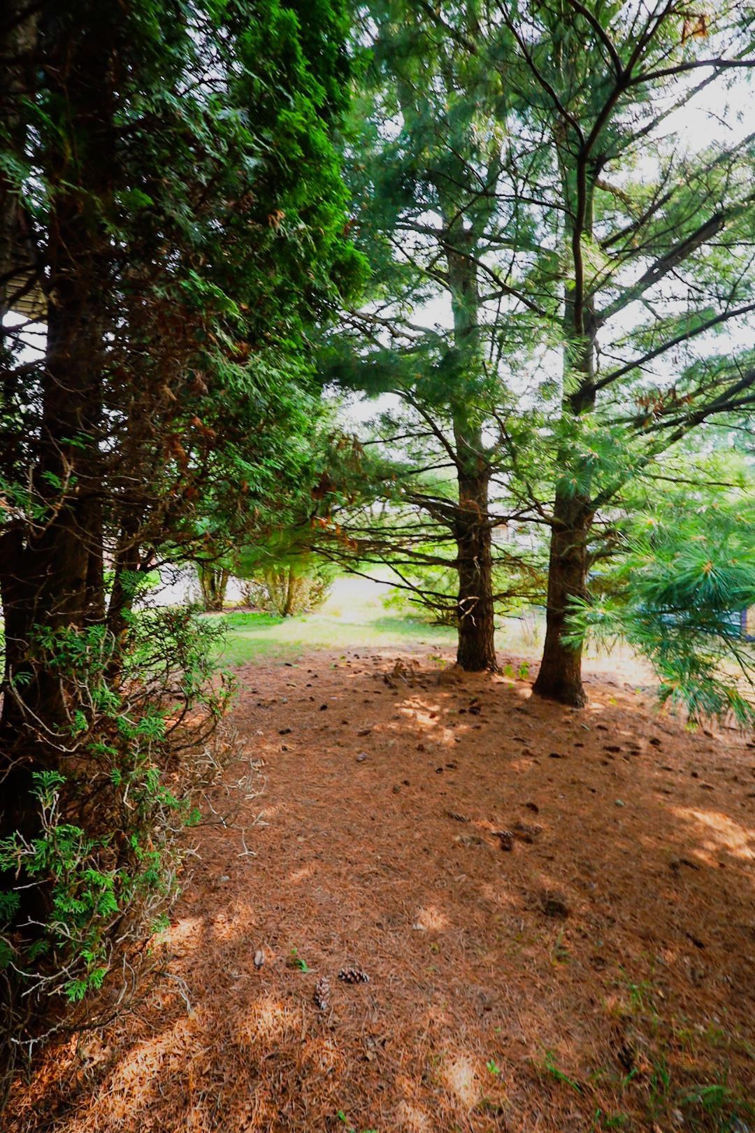 Property photo 28