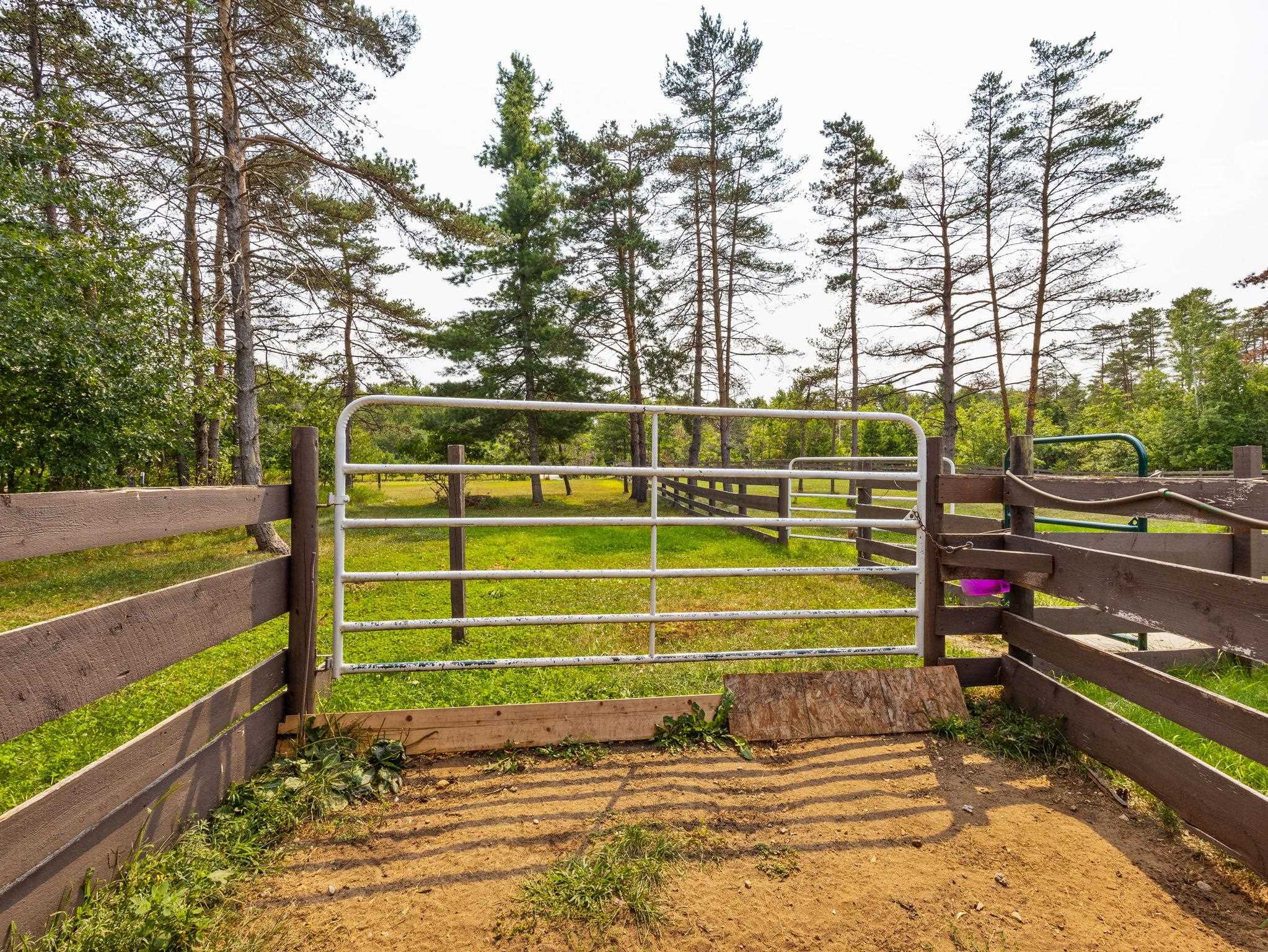 Property photo 40