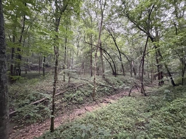 Property photo 17