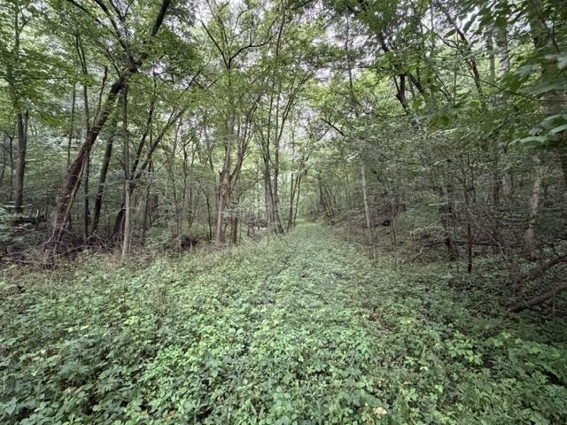 Property photo 19