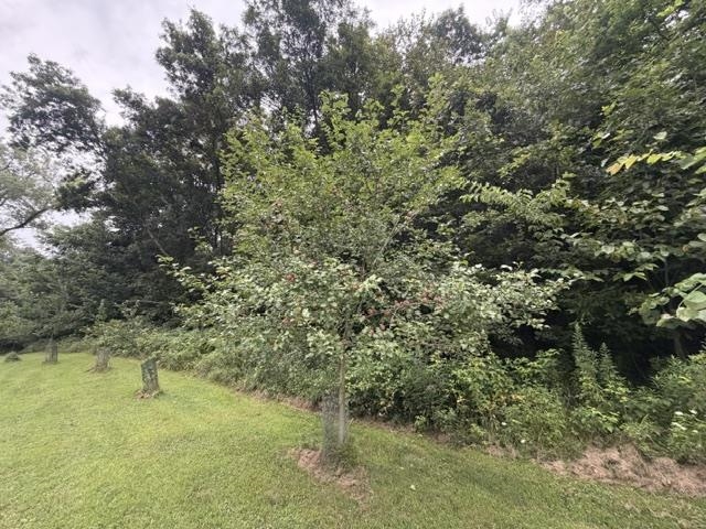 Property photo 28