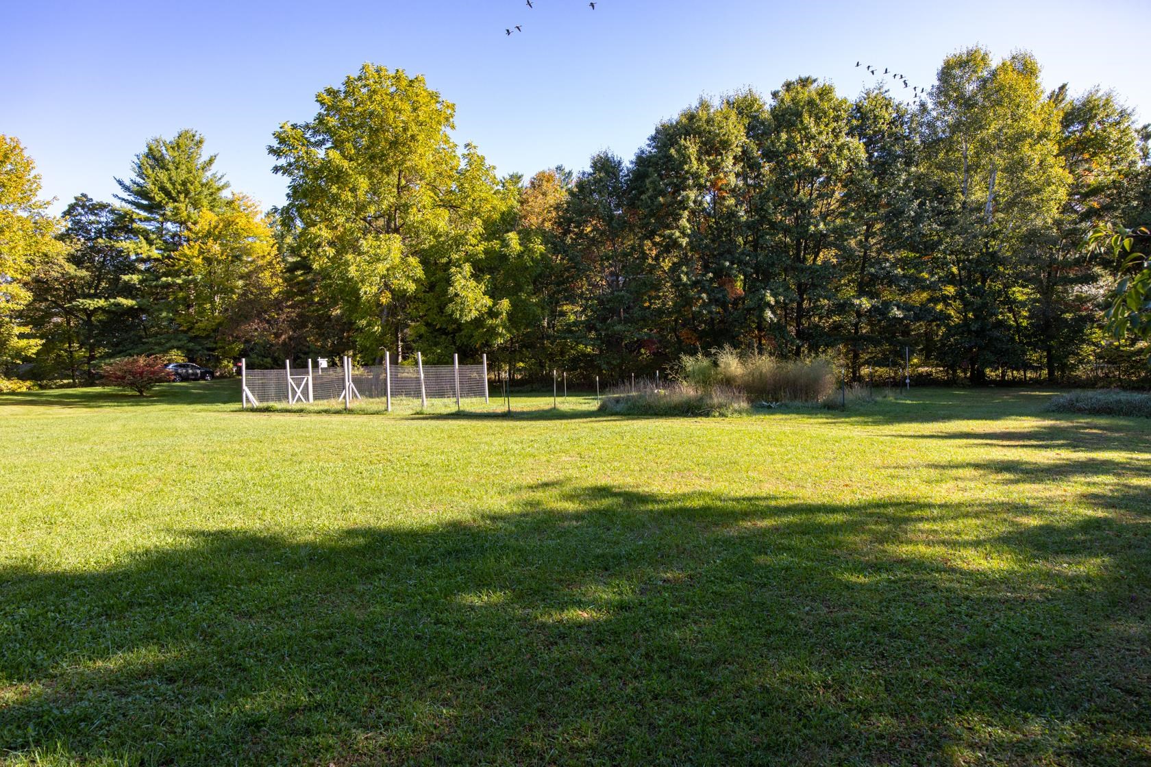 Property photo 36