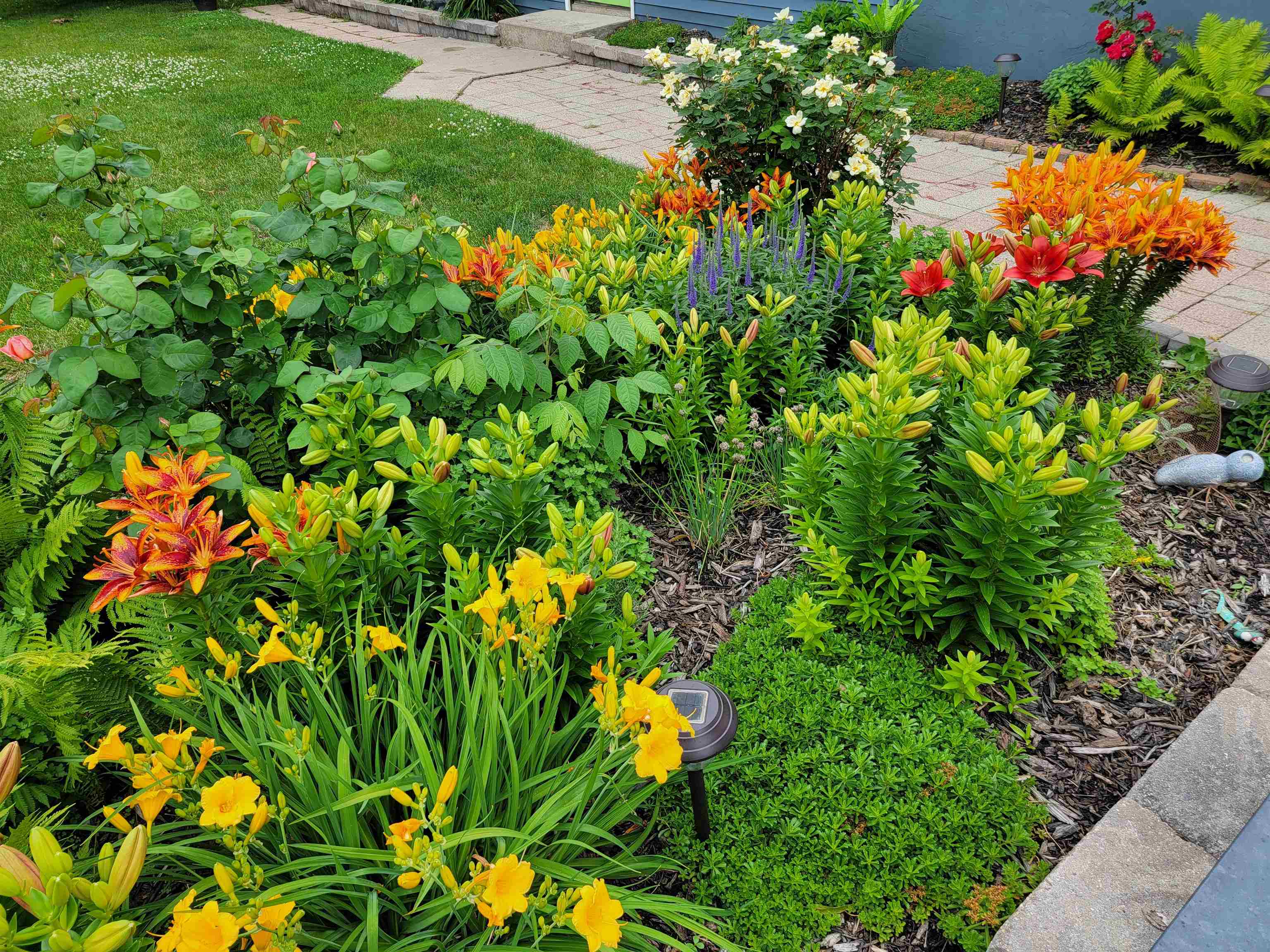 Property photo 44