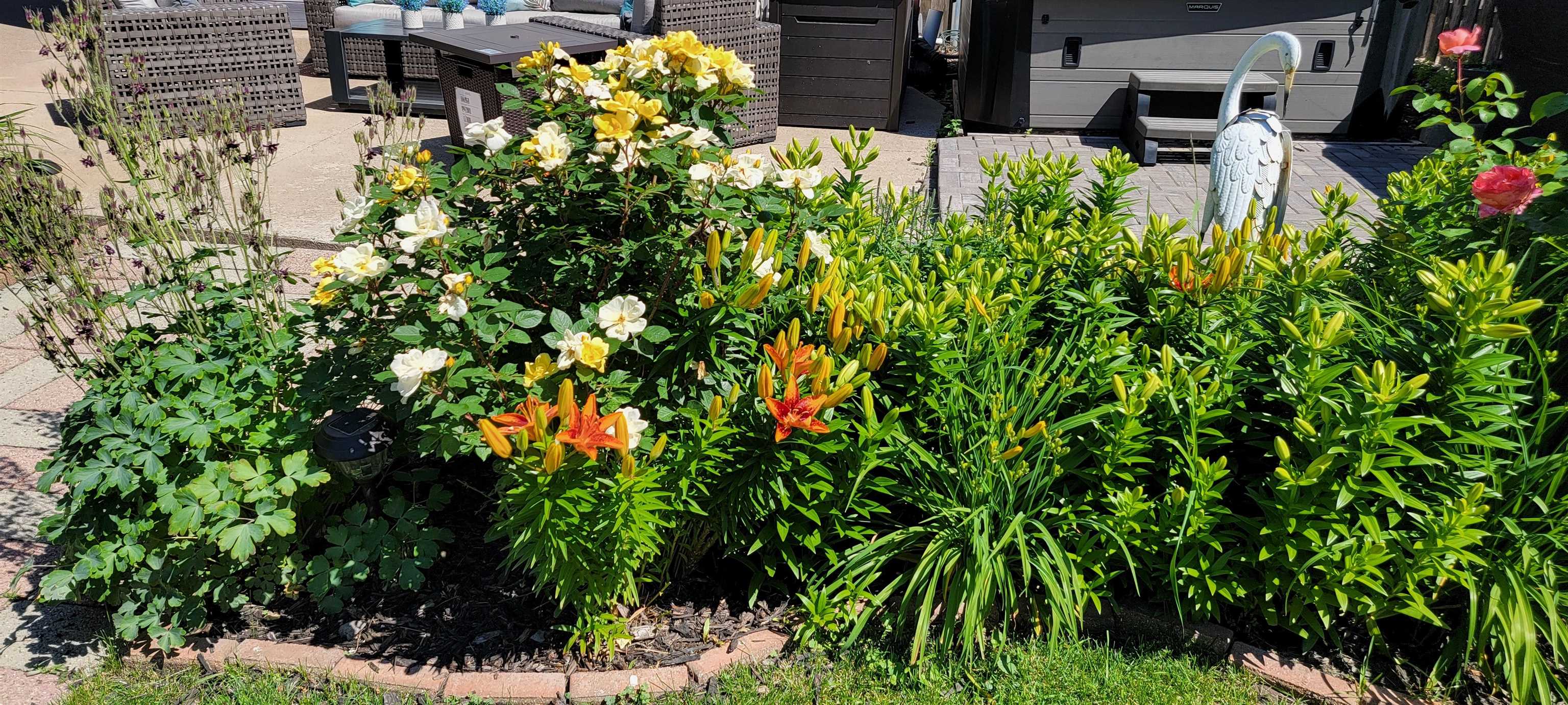 Property photo 43
