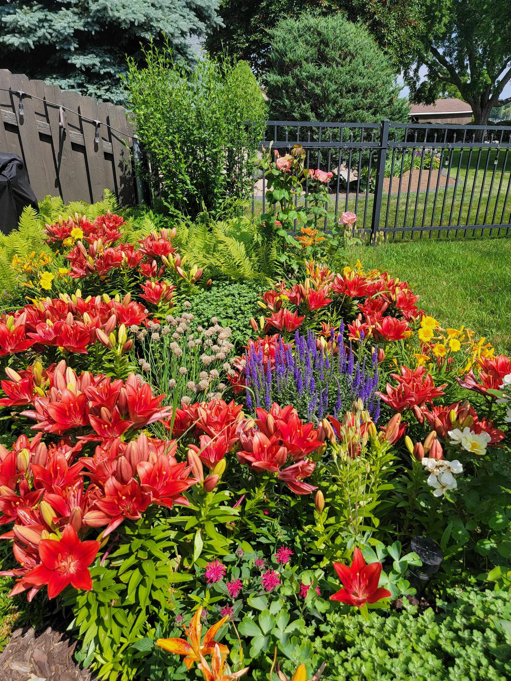 Property photo 60