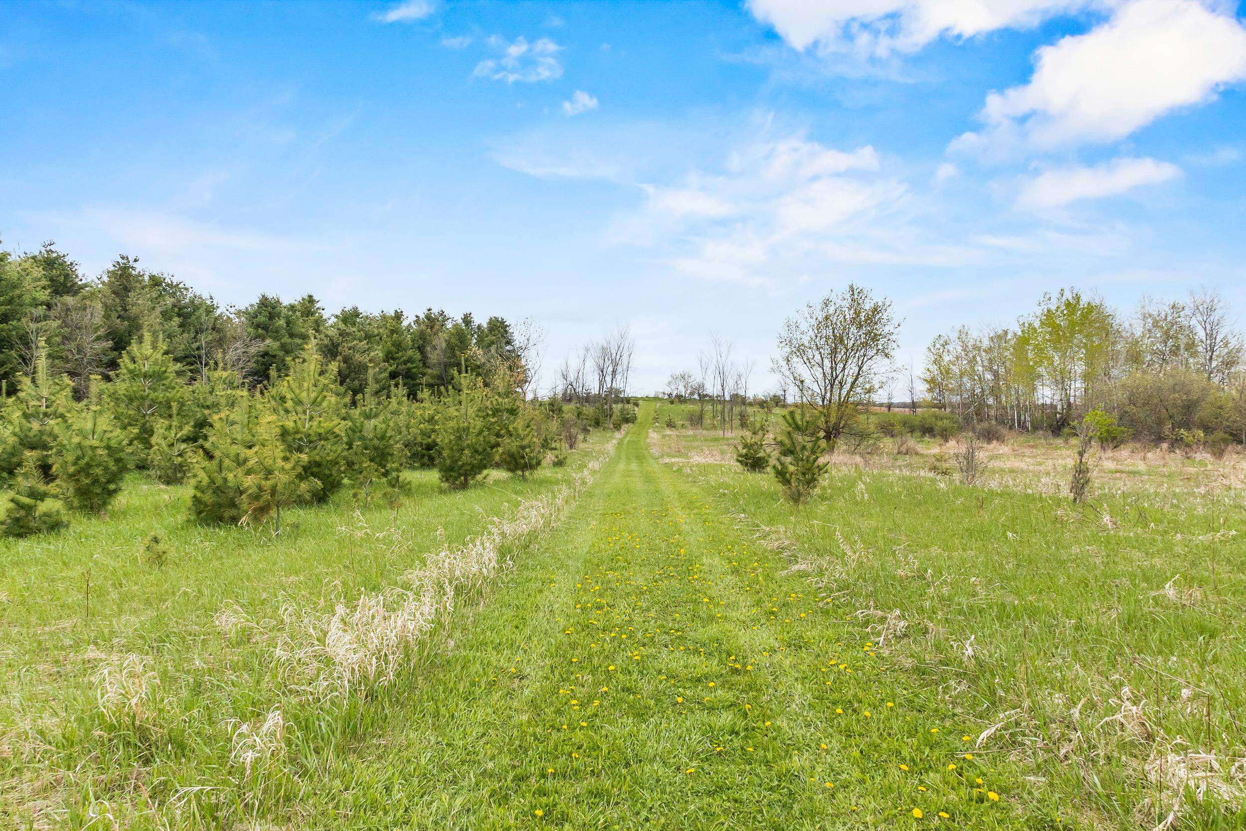 Property photo 59