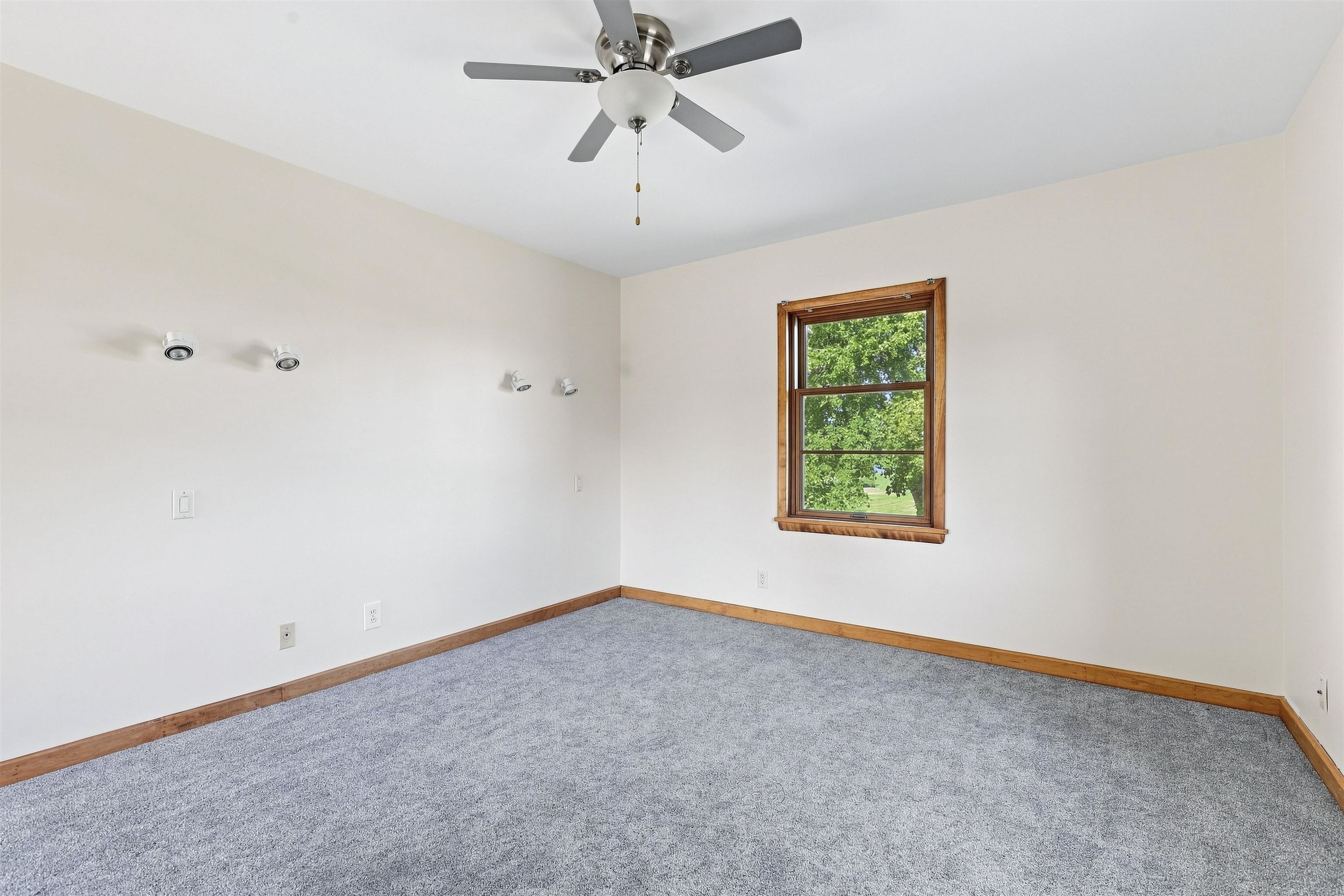Property photo 54