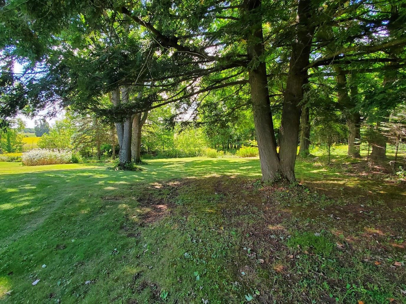 Property photo 47