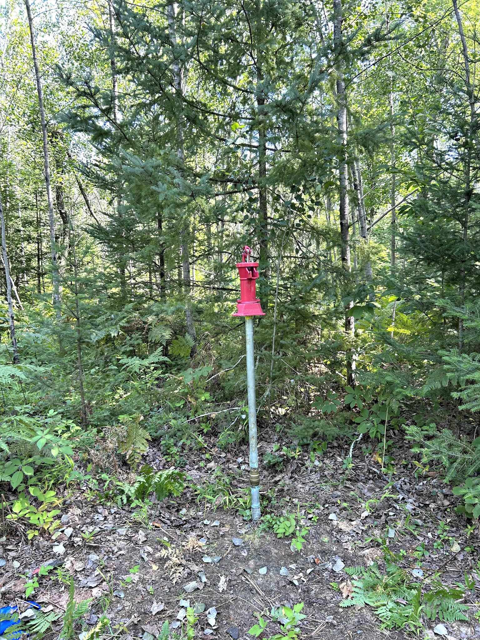 Property photo 6