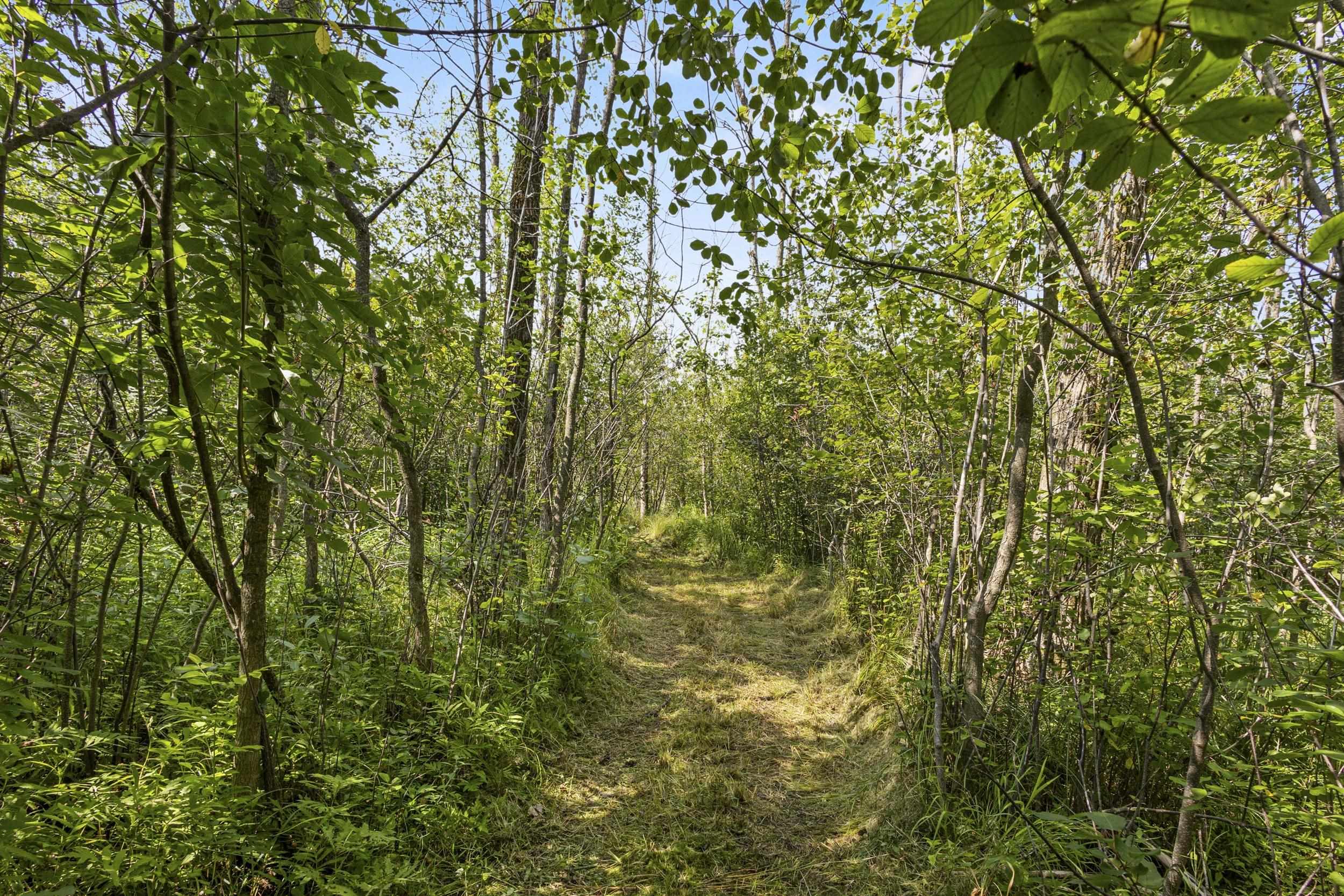 Property photo 42