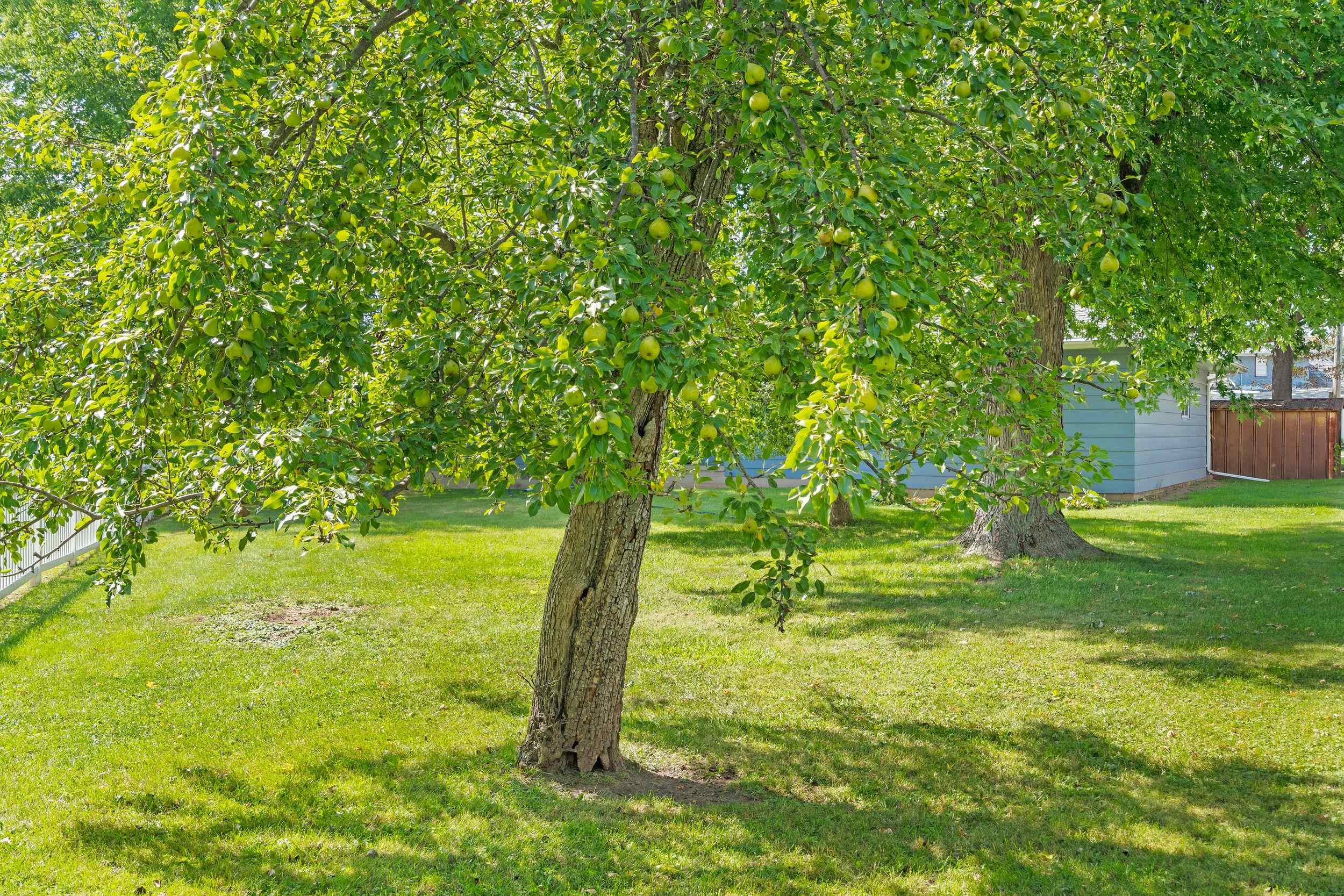 Property photo 40