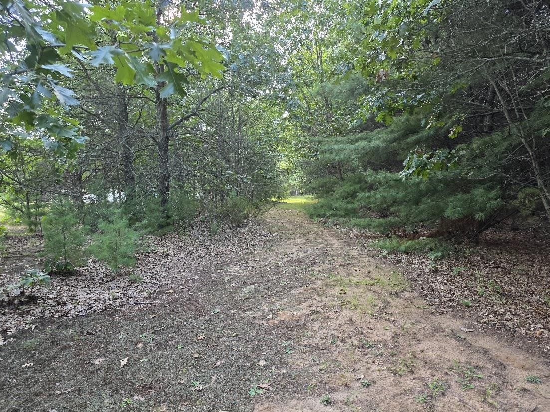 Property photo 32