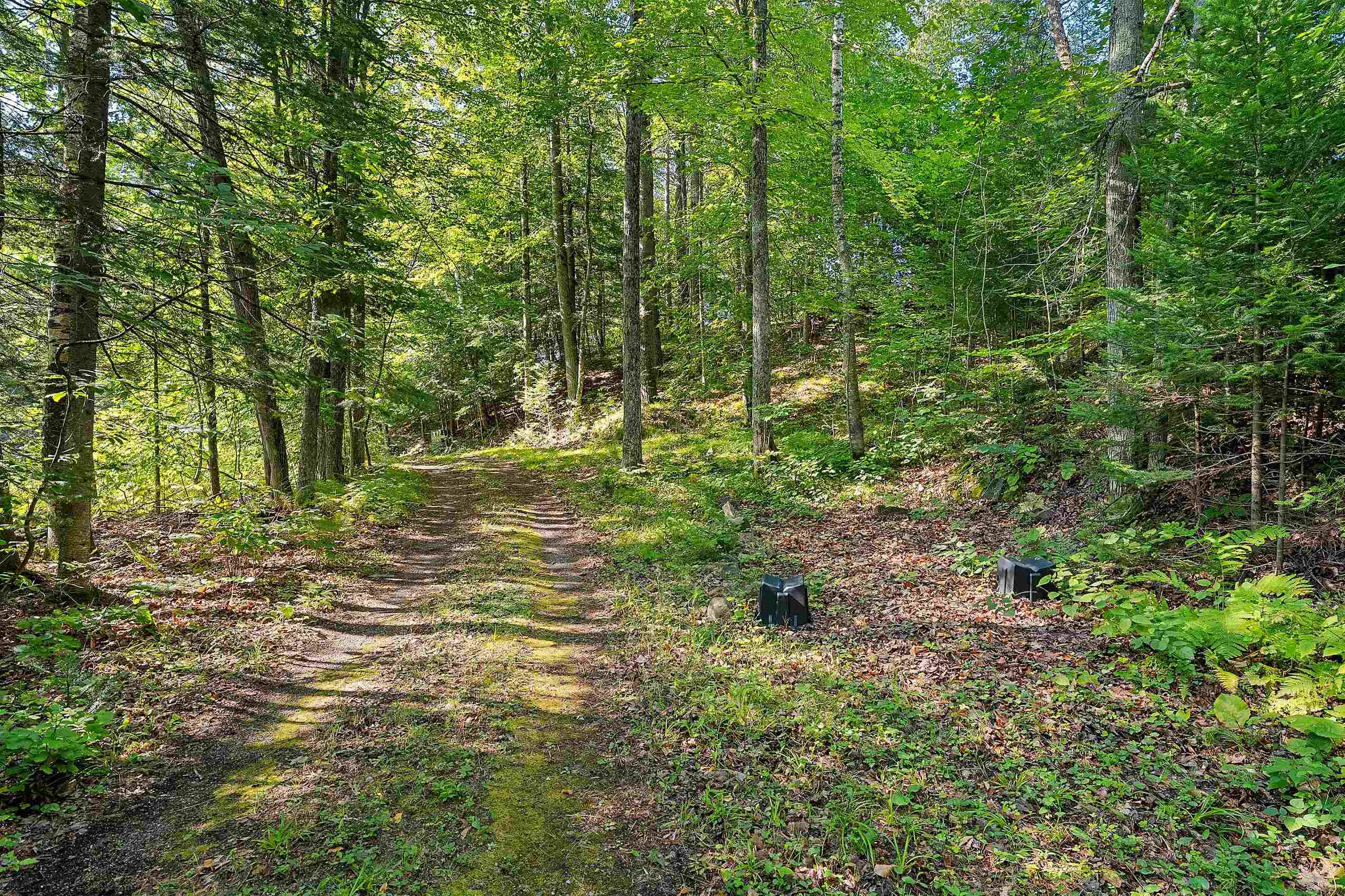 Property photo 67