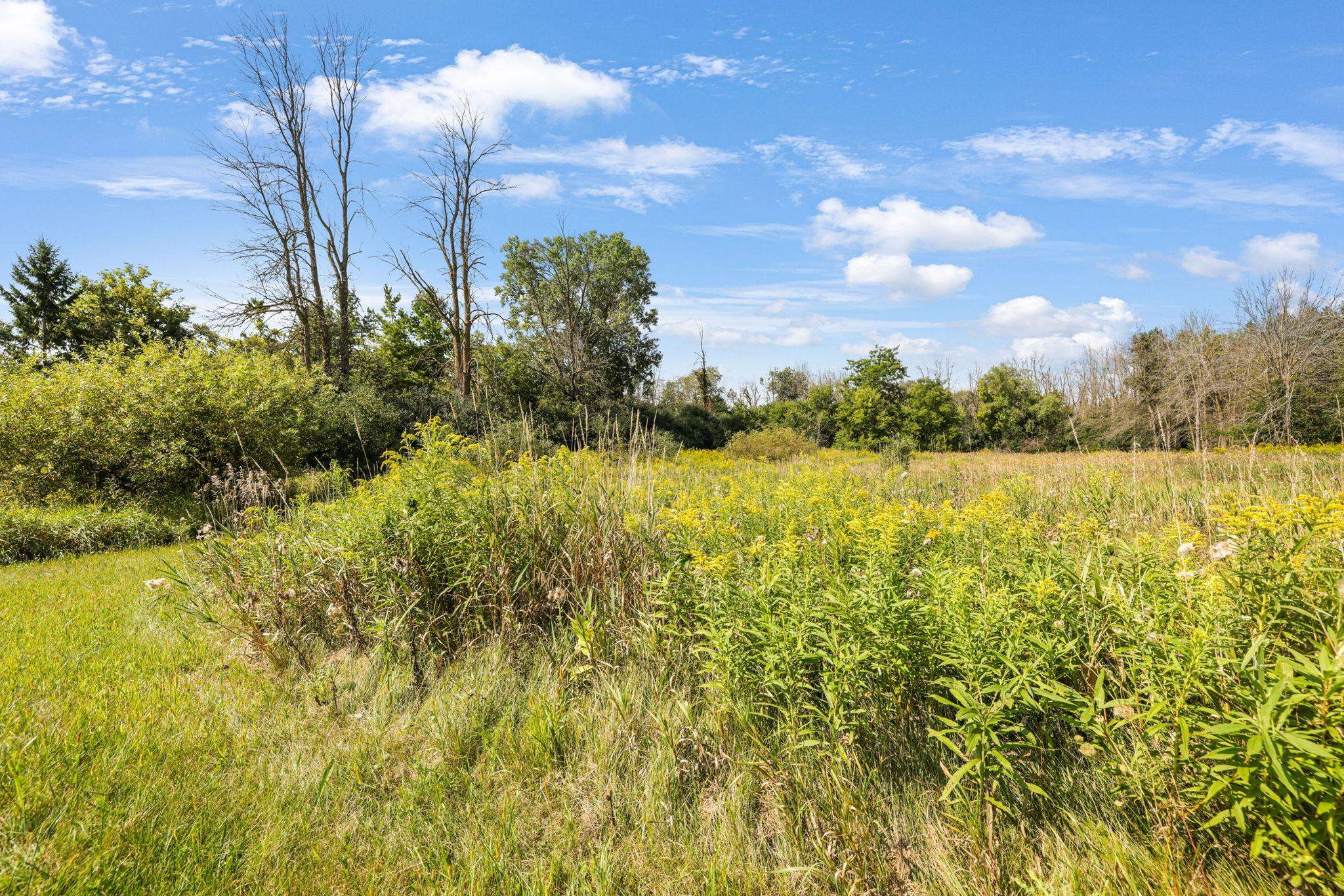 Property photo 79