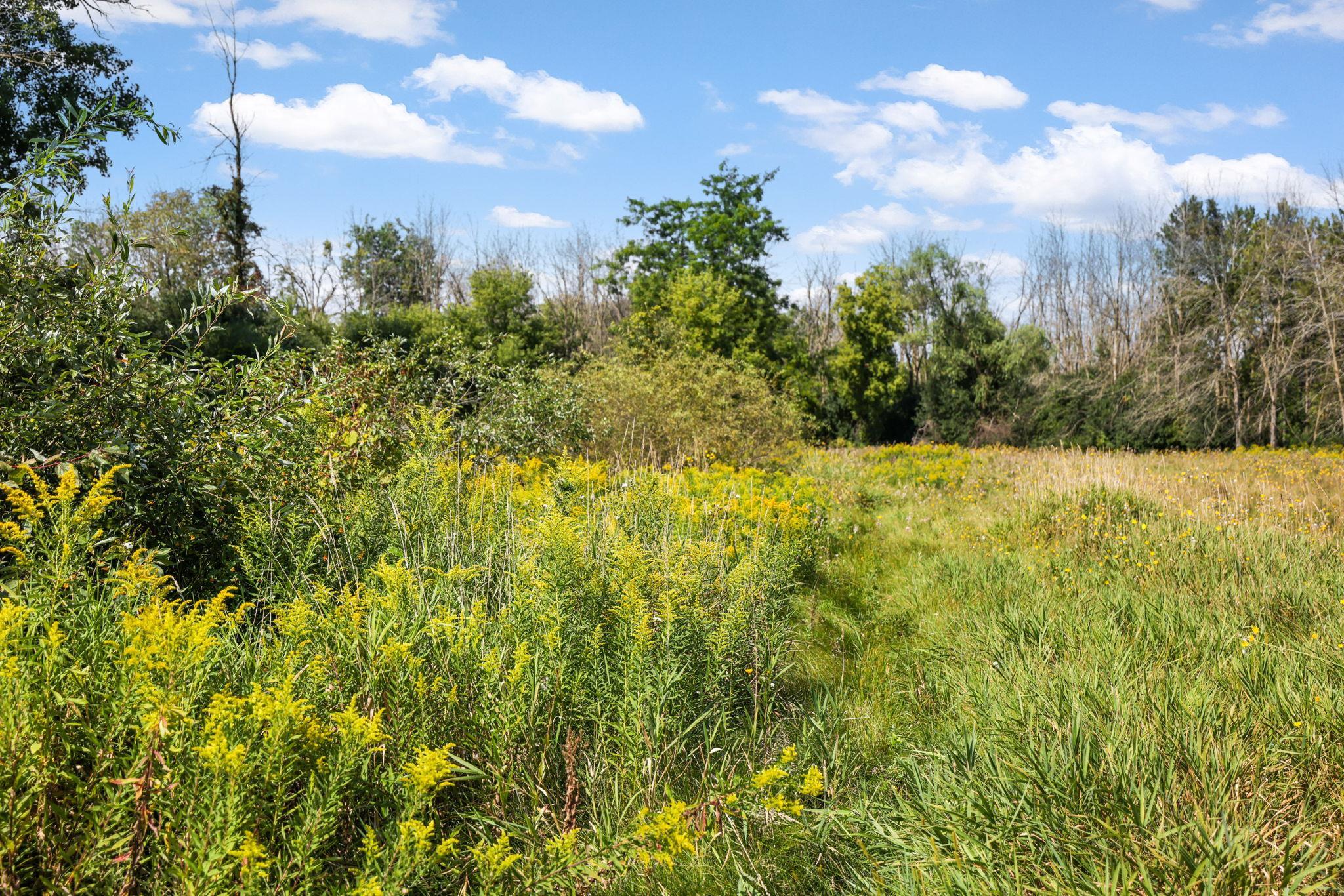 Property photo 81