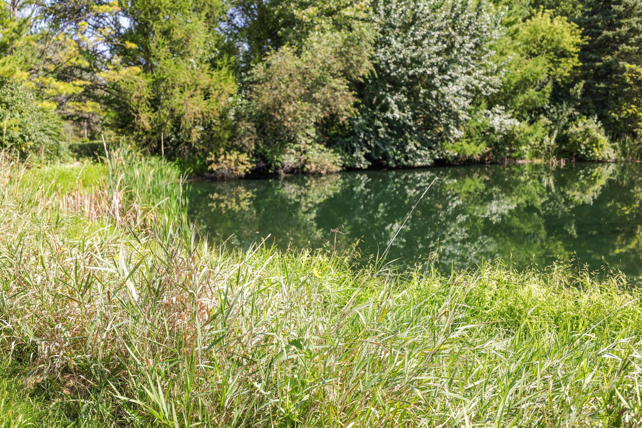 Property photo 82