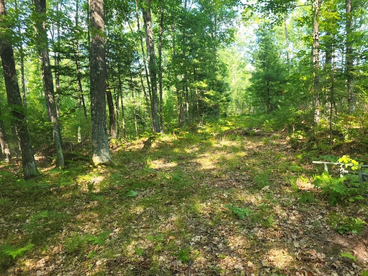Property photo 31