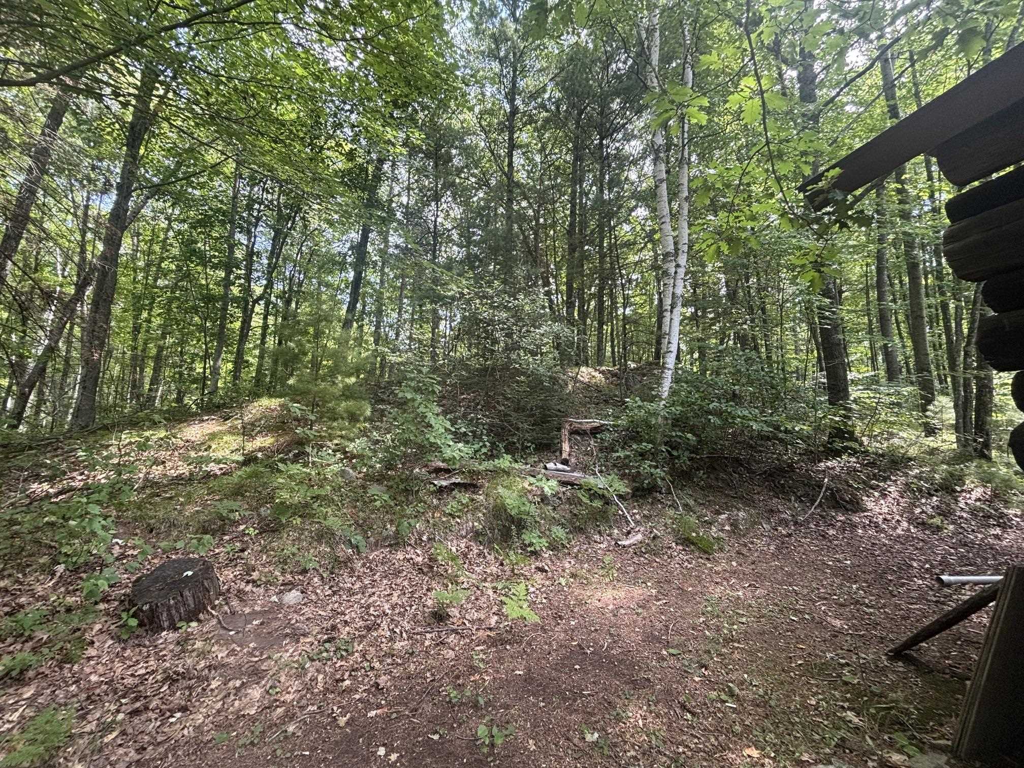 Property photo 46