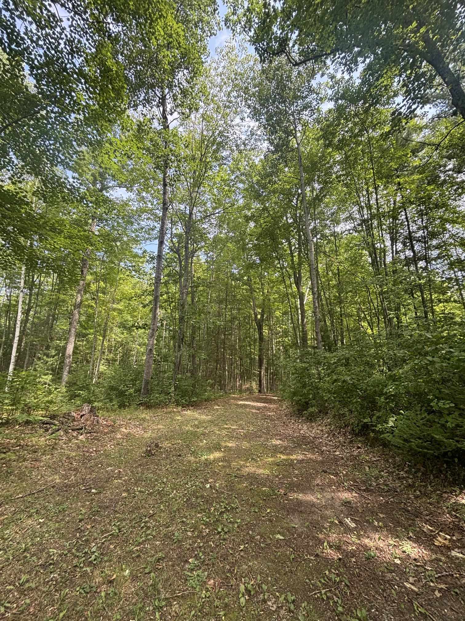 Property photo 47