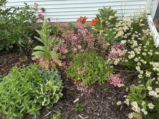 Property photo 46