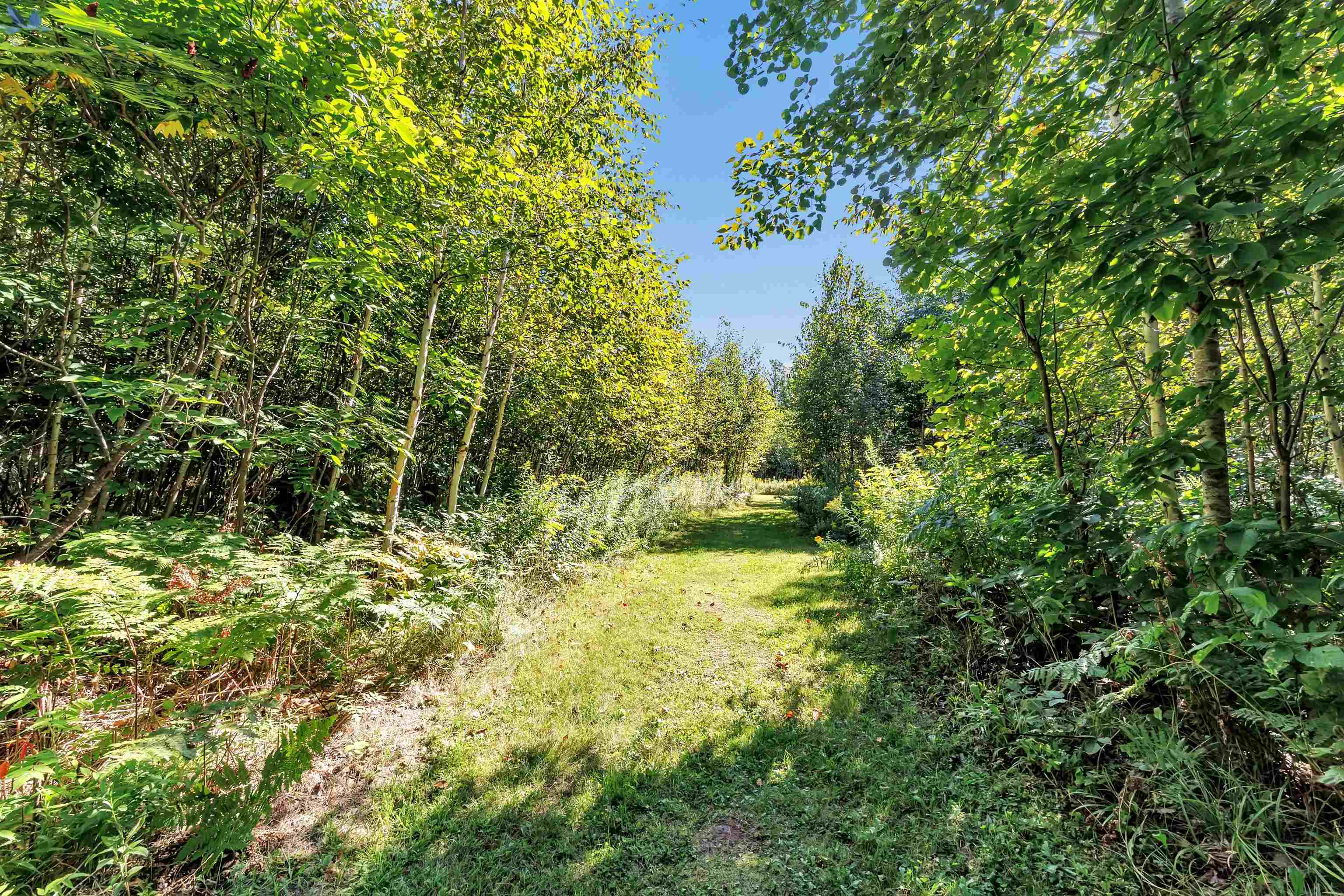 Property photo 34