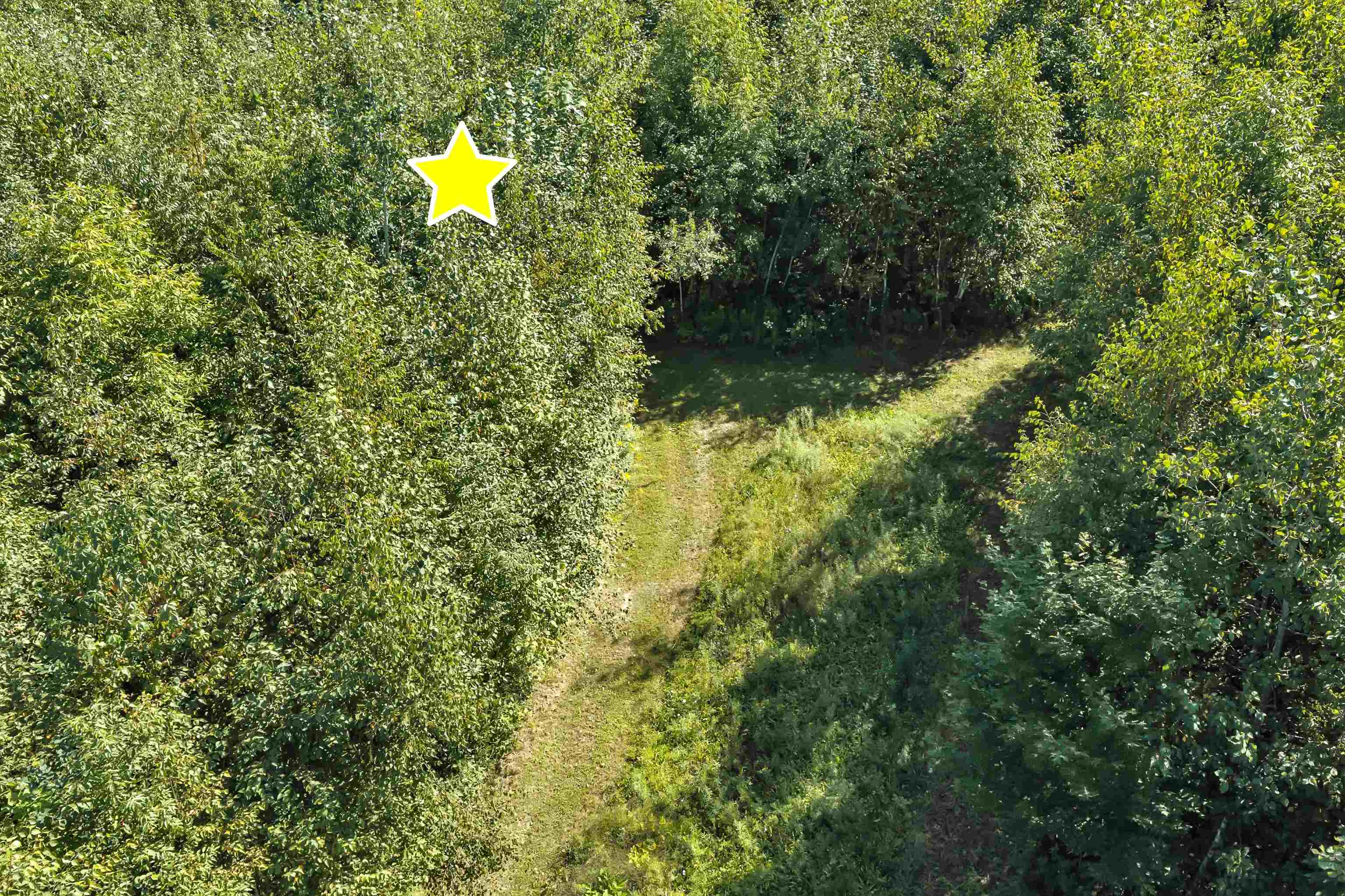 Property photo 46