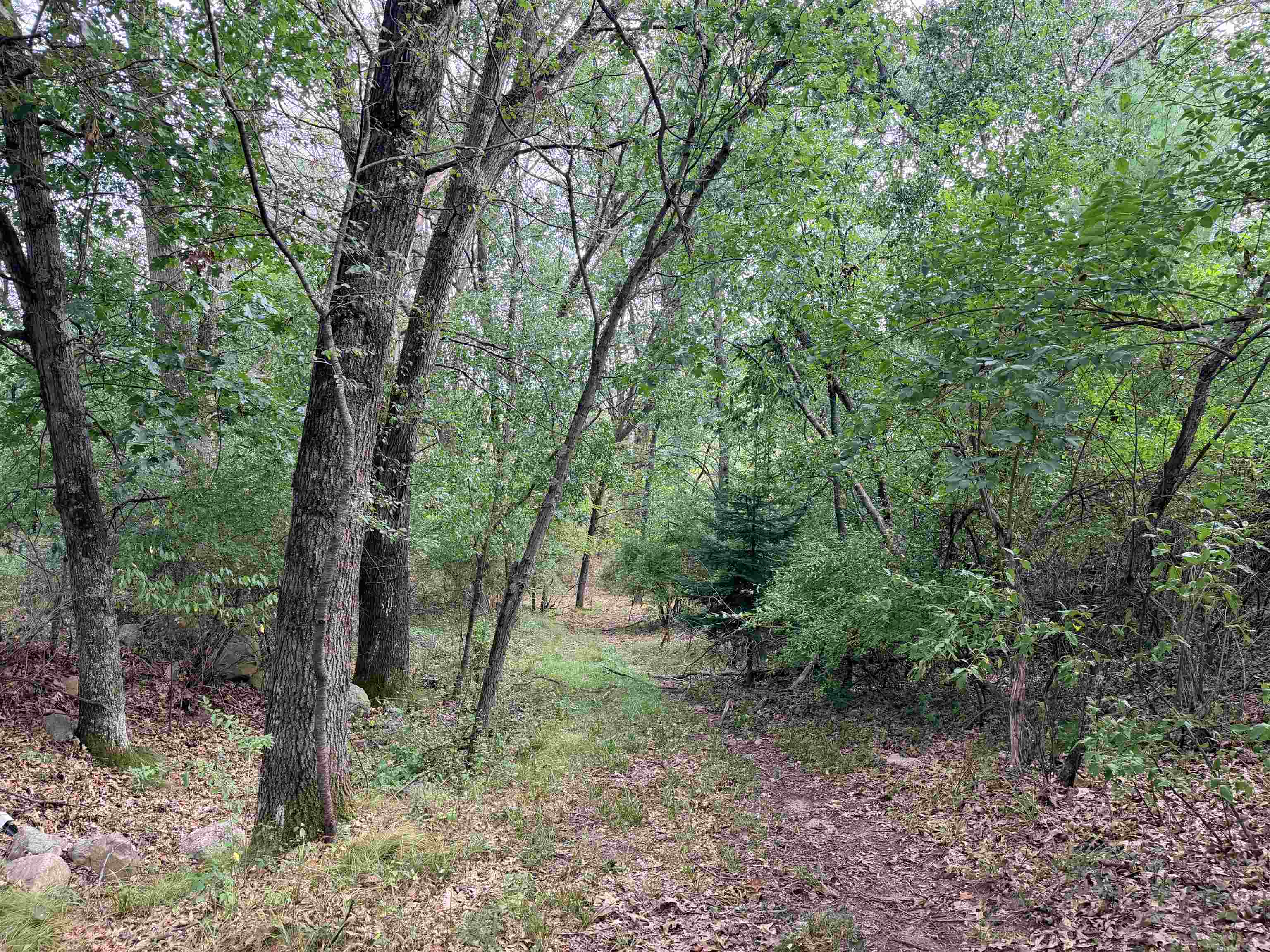 Property photo 71