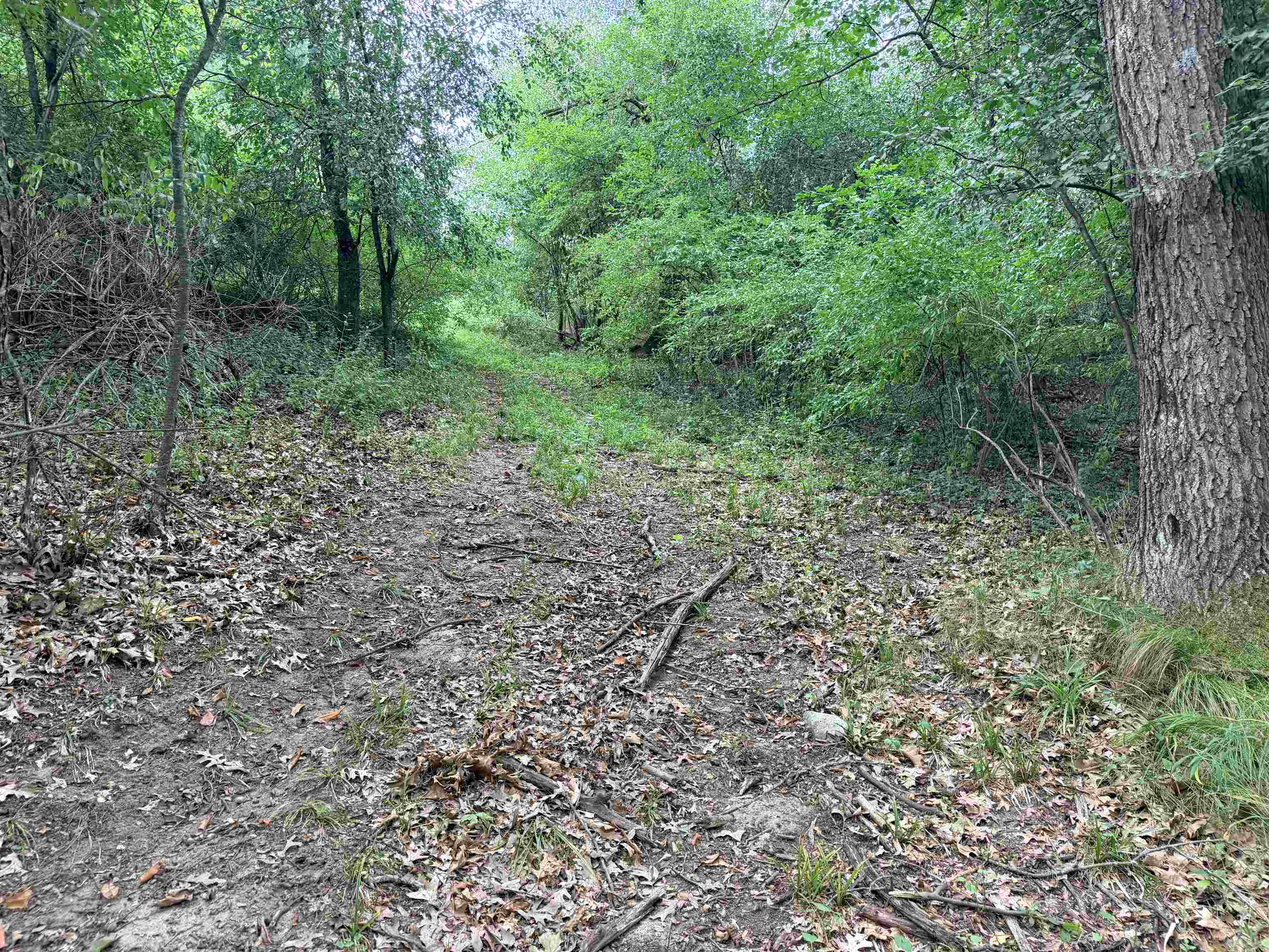 Property photo 74