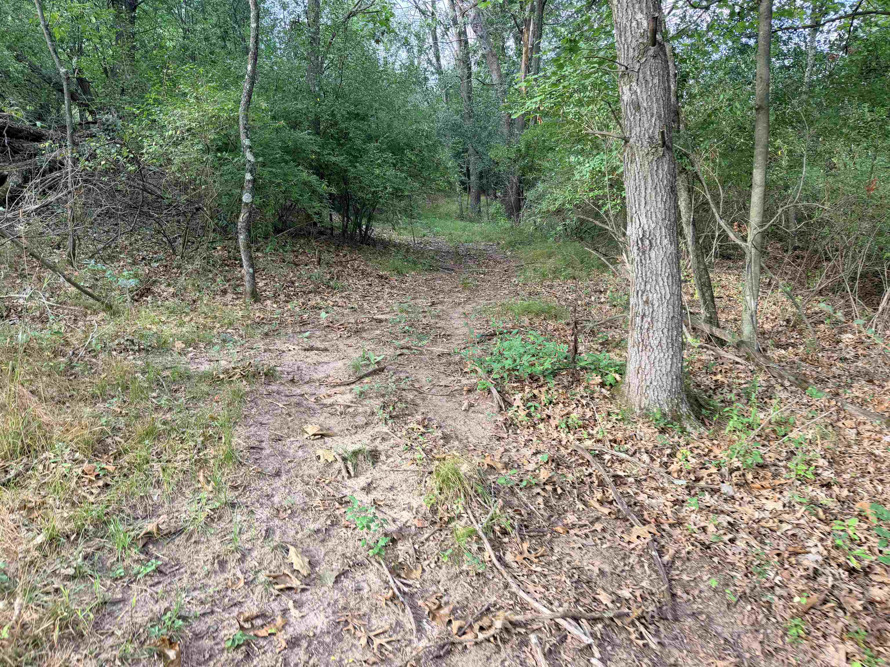 Property photo 72