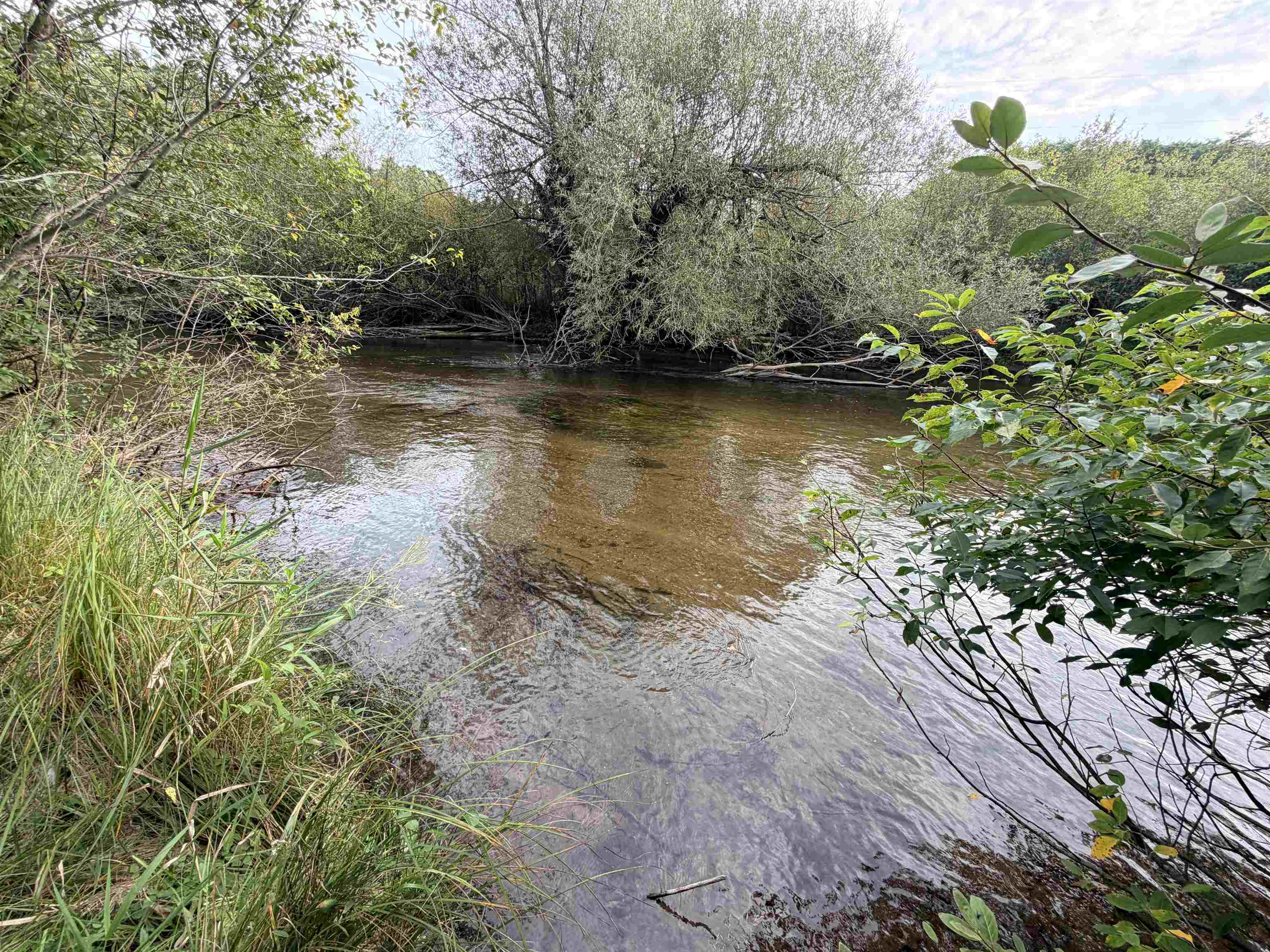 Property photo 69
