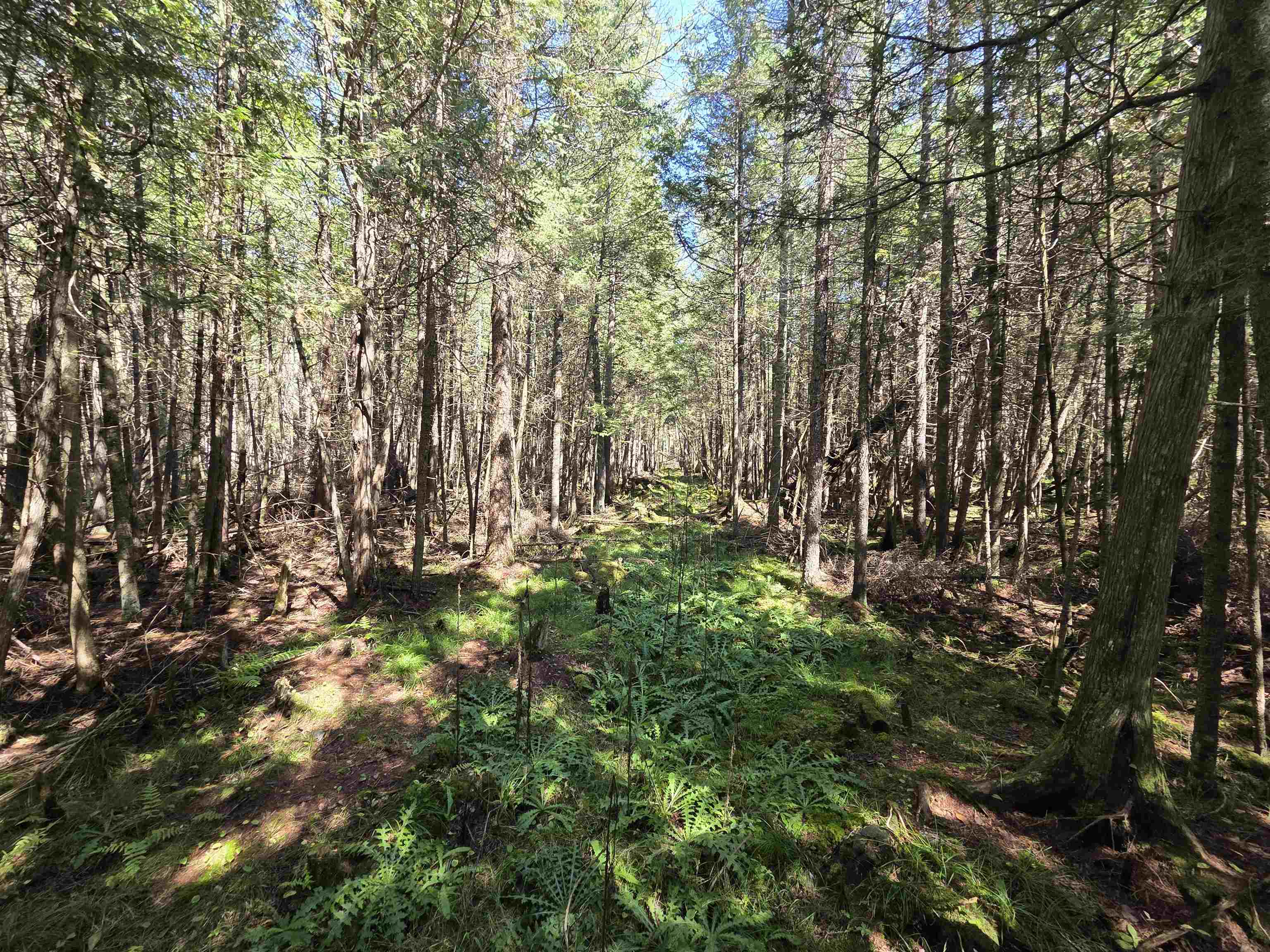 Property photo 13