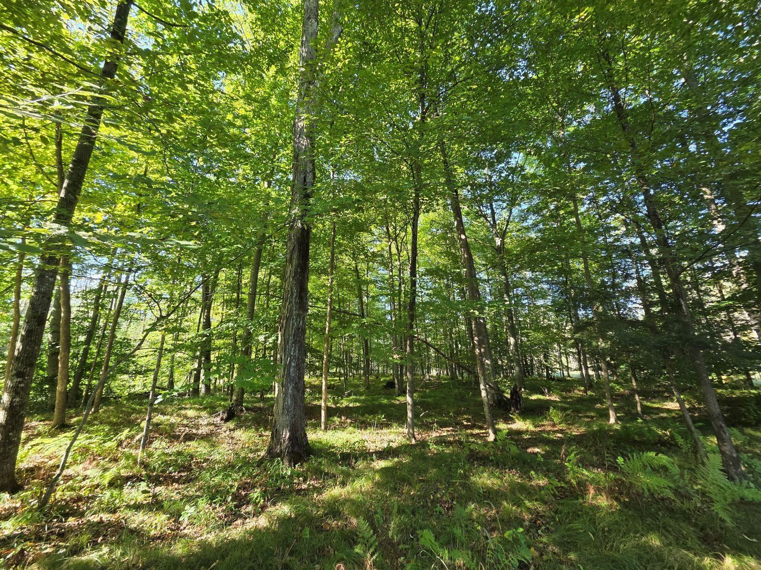 Property photo 12