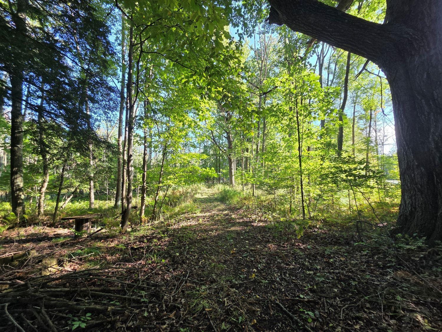 Property photo 13